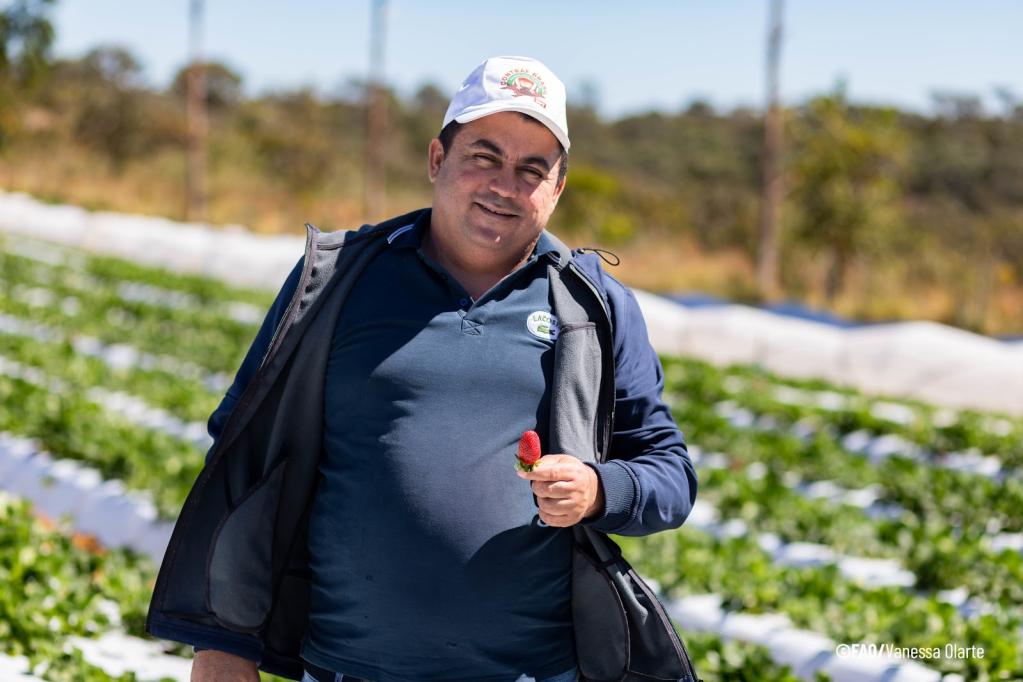 Alimentação escolar é uma política estruturante que tem transformado a vida de famílias de produtores de pequena escala no Distrito Federal