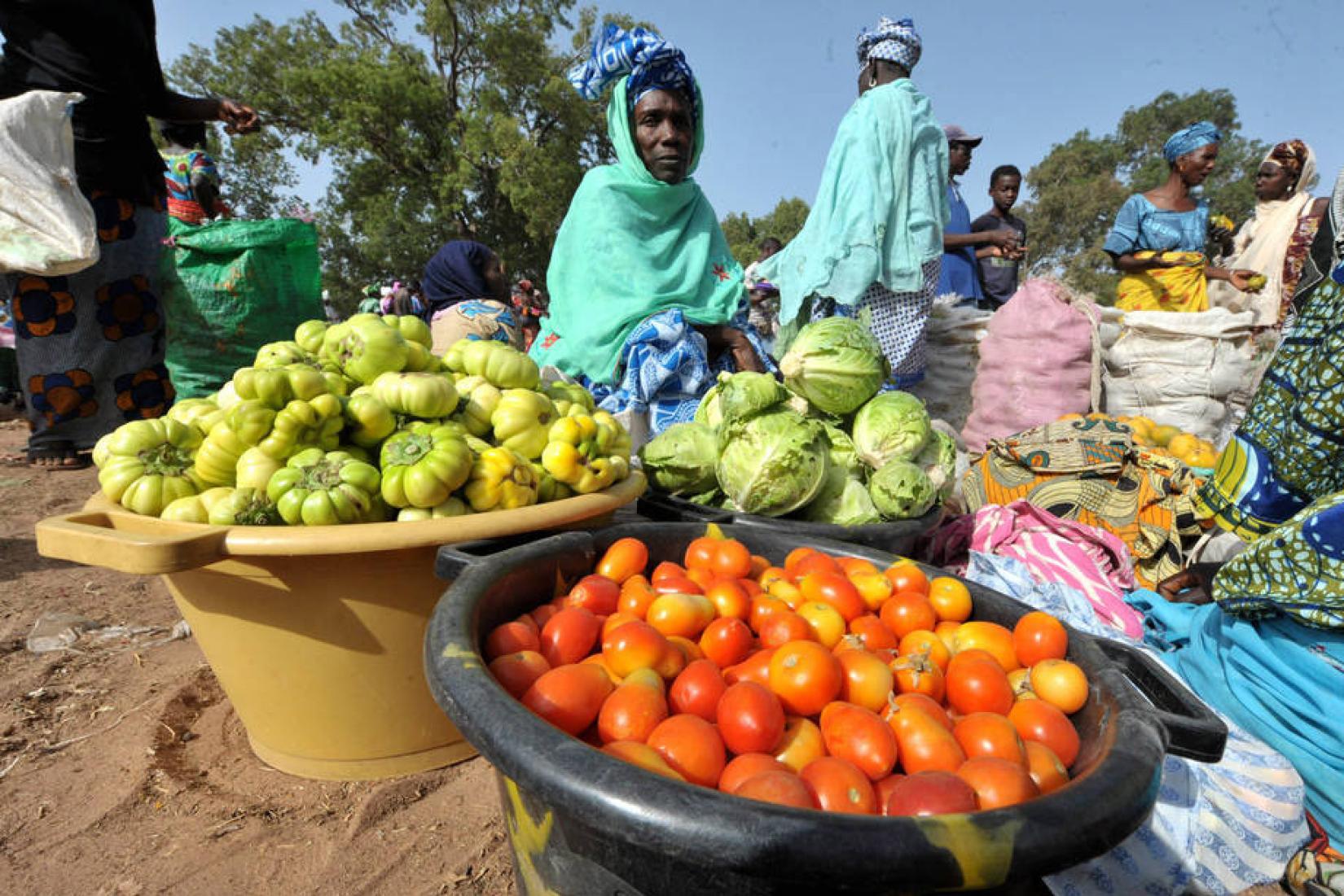 Mulher vendendo legumes na Gâmbia, um dos países mais pobres do mundo. Foto: FAO / Seyllou Diallo