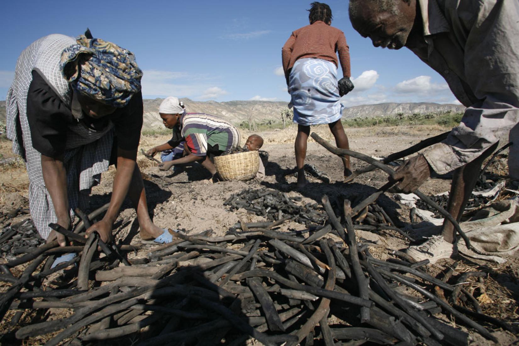 Uma família desenterra pedaços de madeira nos arredores de Gonaives, Haiti, para em seguida queimá-los em um poço para criar carvão, para posterior venda nos mercados locais. Essa demanda, juntamente com a falta de alternativas de emprego, tem contribuído para a crise de desmatamento e erosão no país. Foto: UNICEF/LeMoyne