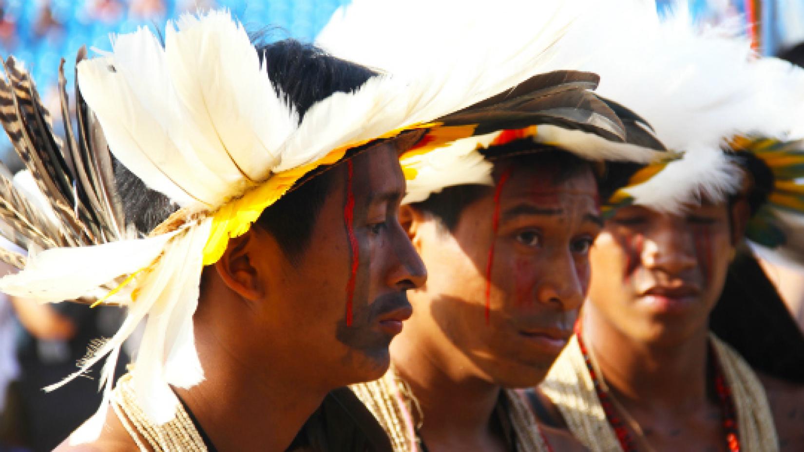 Declaração, adotada pela Assembleia Geral da ONU em 13 de setembro de 2007, estabelece diretrizes universais de padrões mínimos de sobrevivência para a dignidade e o bem-estar dos povos indígenas do mundo. Foto: PNUD / Tiago Zenero