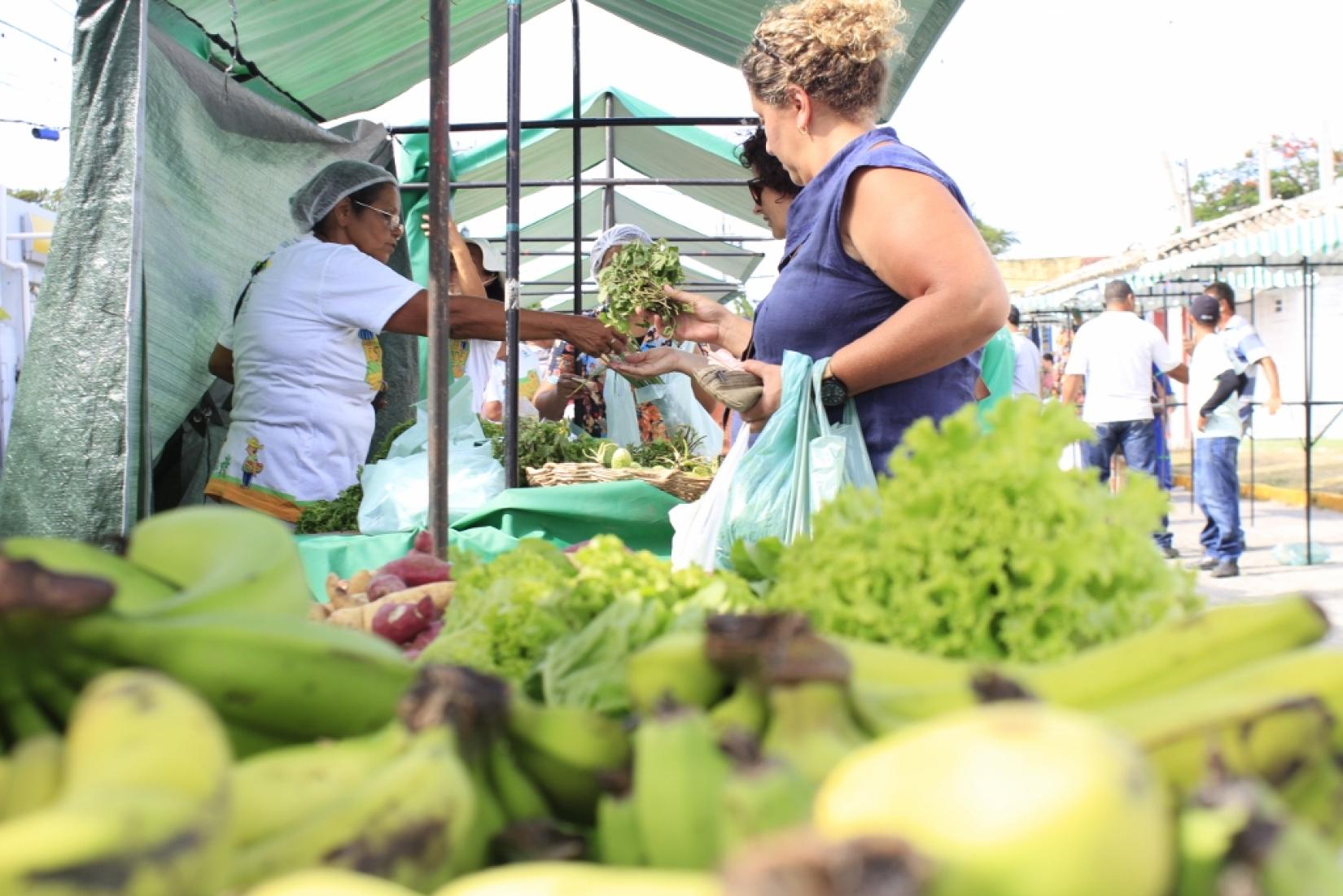 Parceria entre FIDA e governo de Pernambuco vai beneficiar produtores da agricultura familiar. Foto: SECOM de Ipojuca / Danilo Luiz