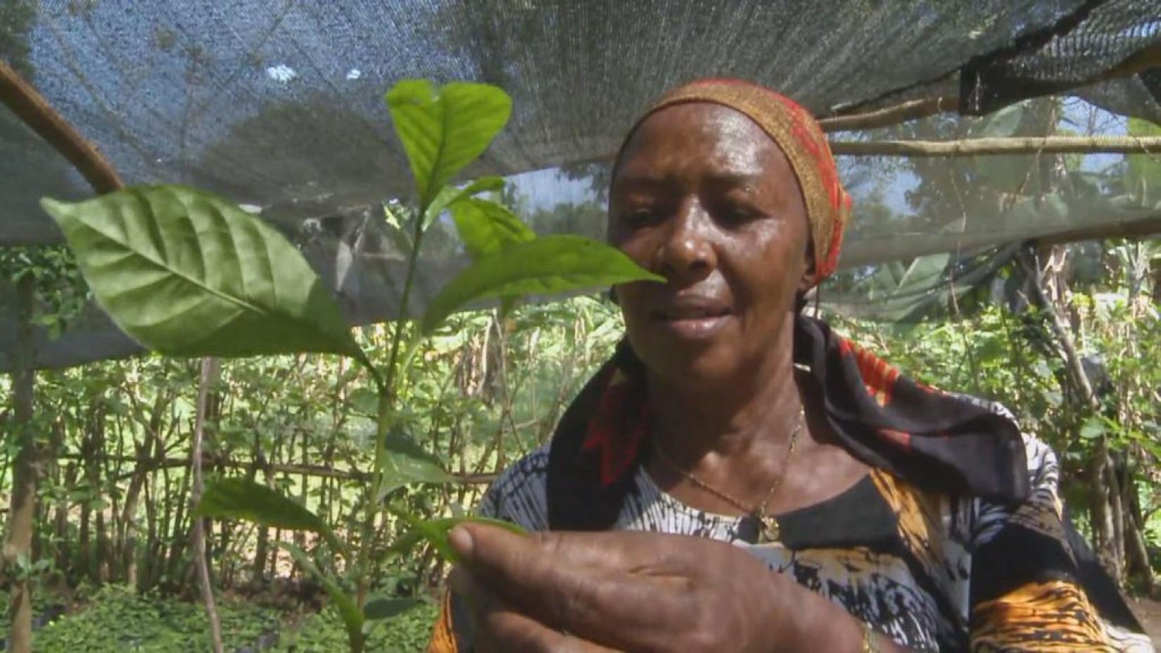 Betty Ndugga é uma empreendedora do distrito de Luwero, em Uganda. Foto: FAO