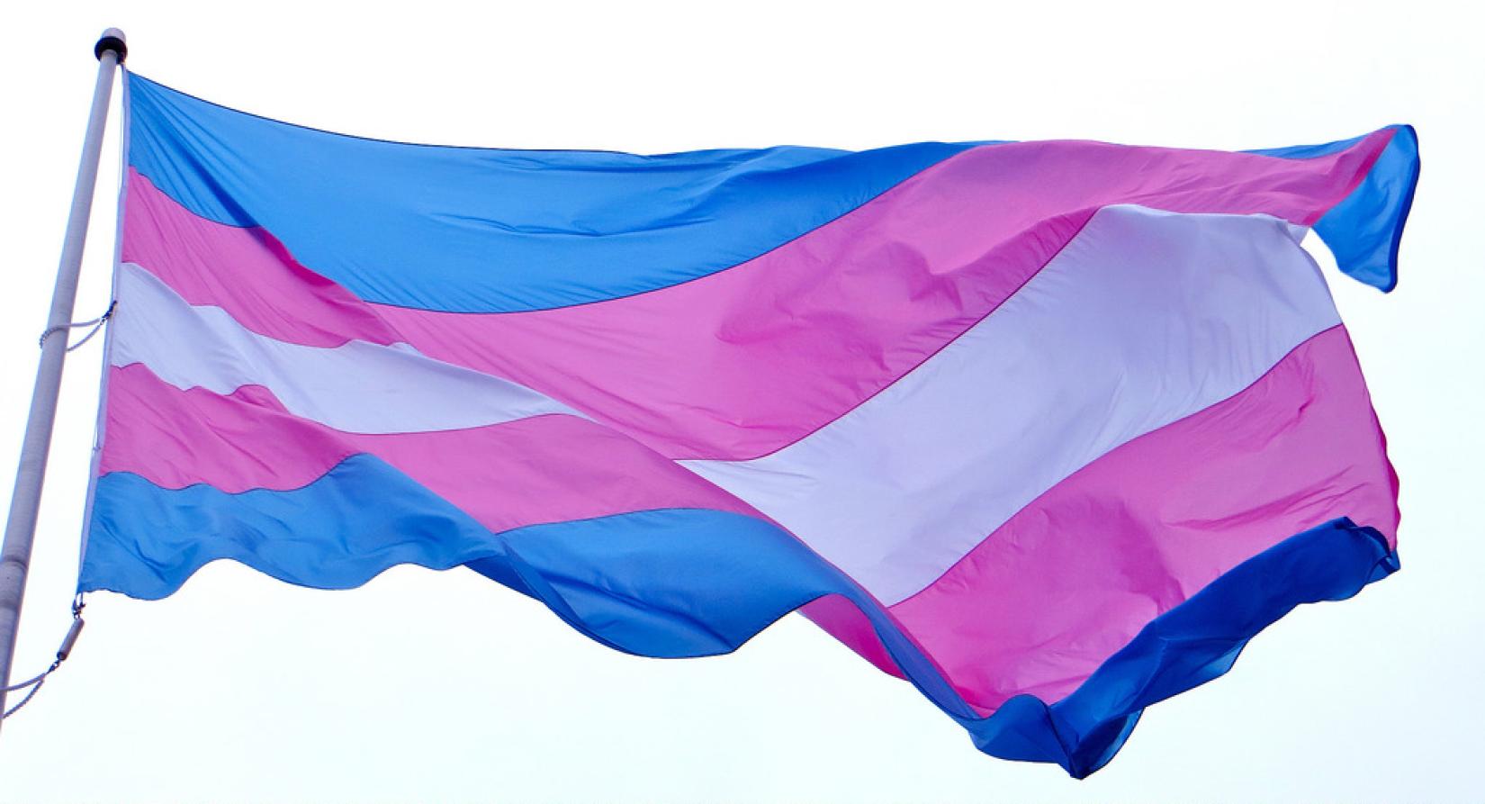 Bandeira do orgulho trans hasteada em São Francisco, nos Estados Unidos. Foto: Flickr (CC)/torbakhopper