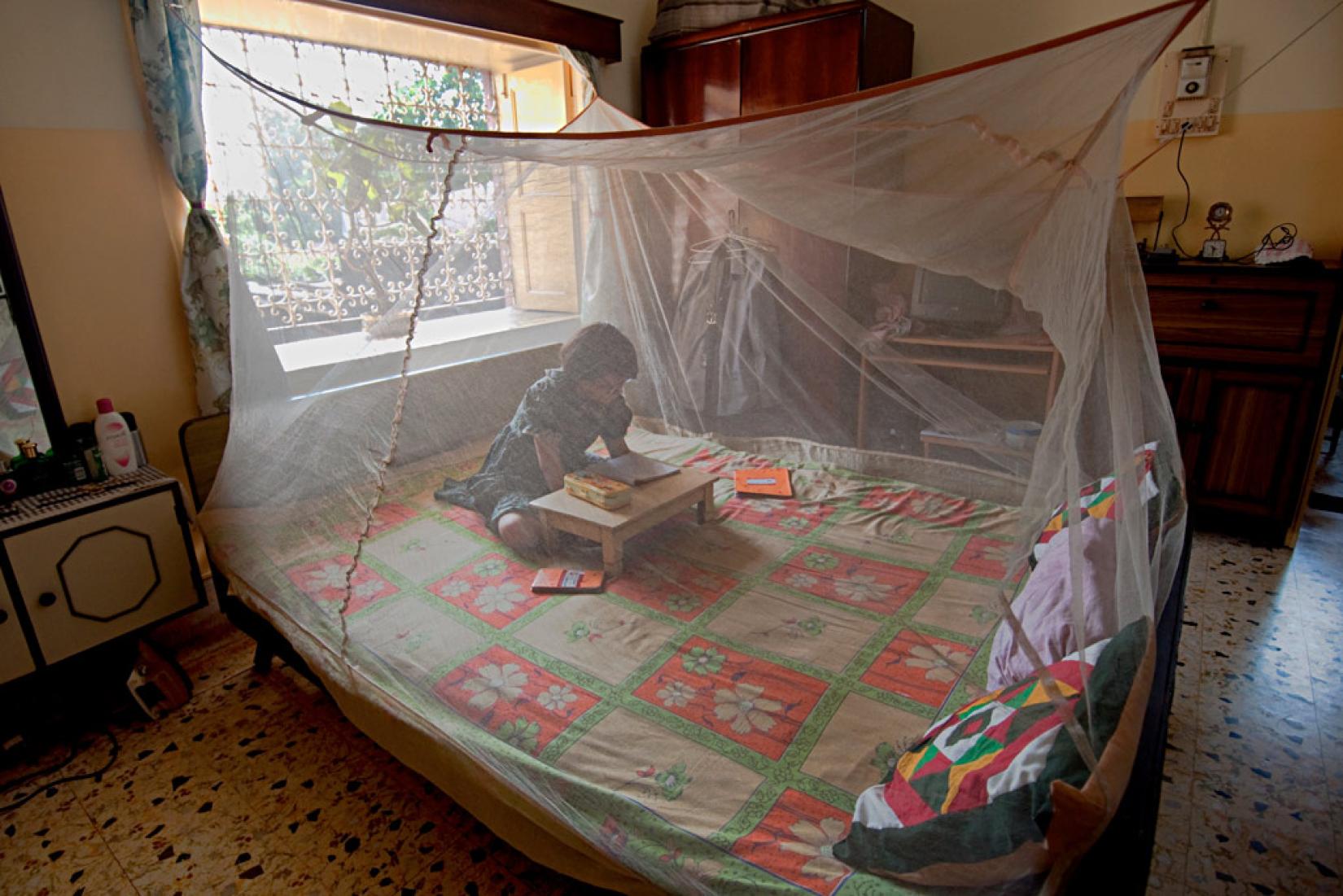 Menina lê dentro de uma rede contra mosquito em Bengal ocidental, na Índia. Foto: Joydeep Mukherjee