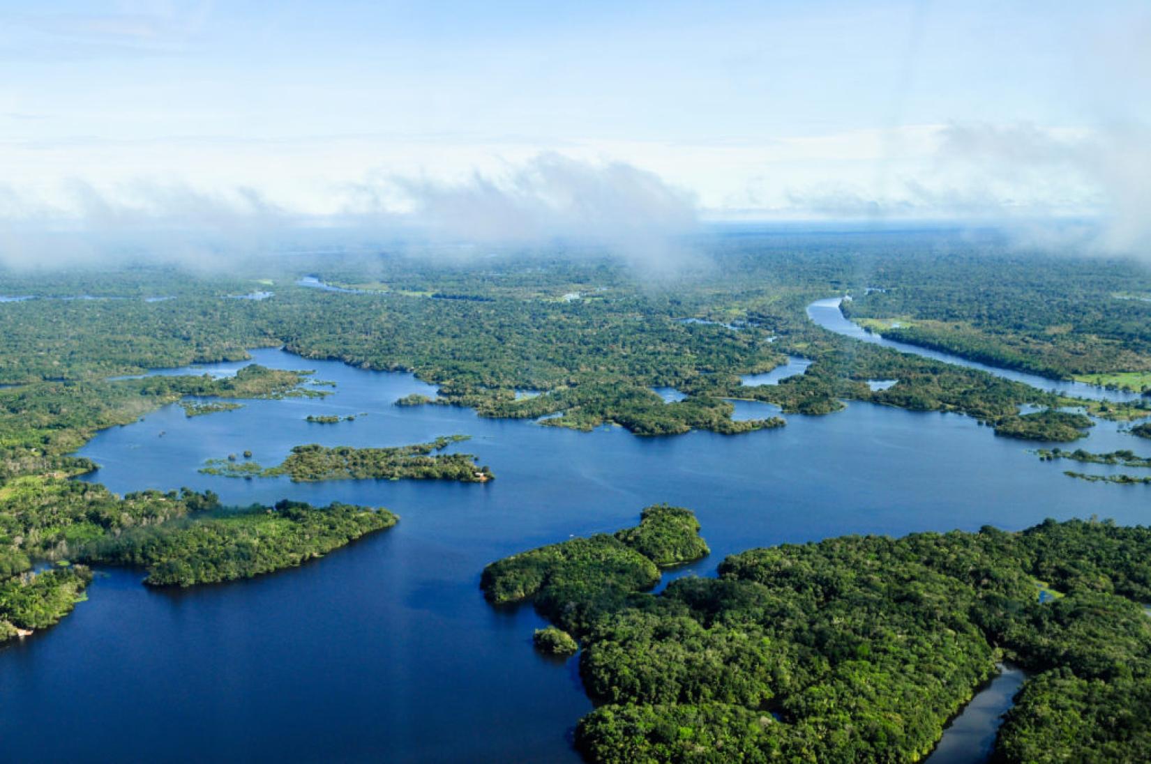 Vista aérea da floresta amazônica, próximo a Manaus. Foto: Flickr (CC)/CIAT/Neil Palmer