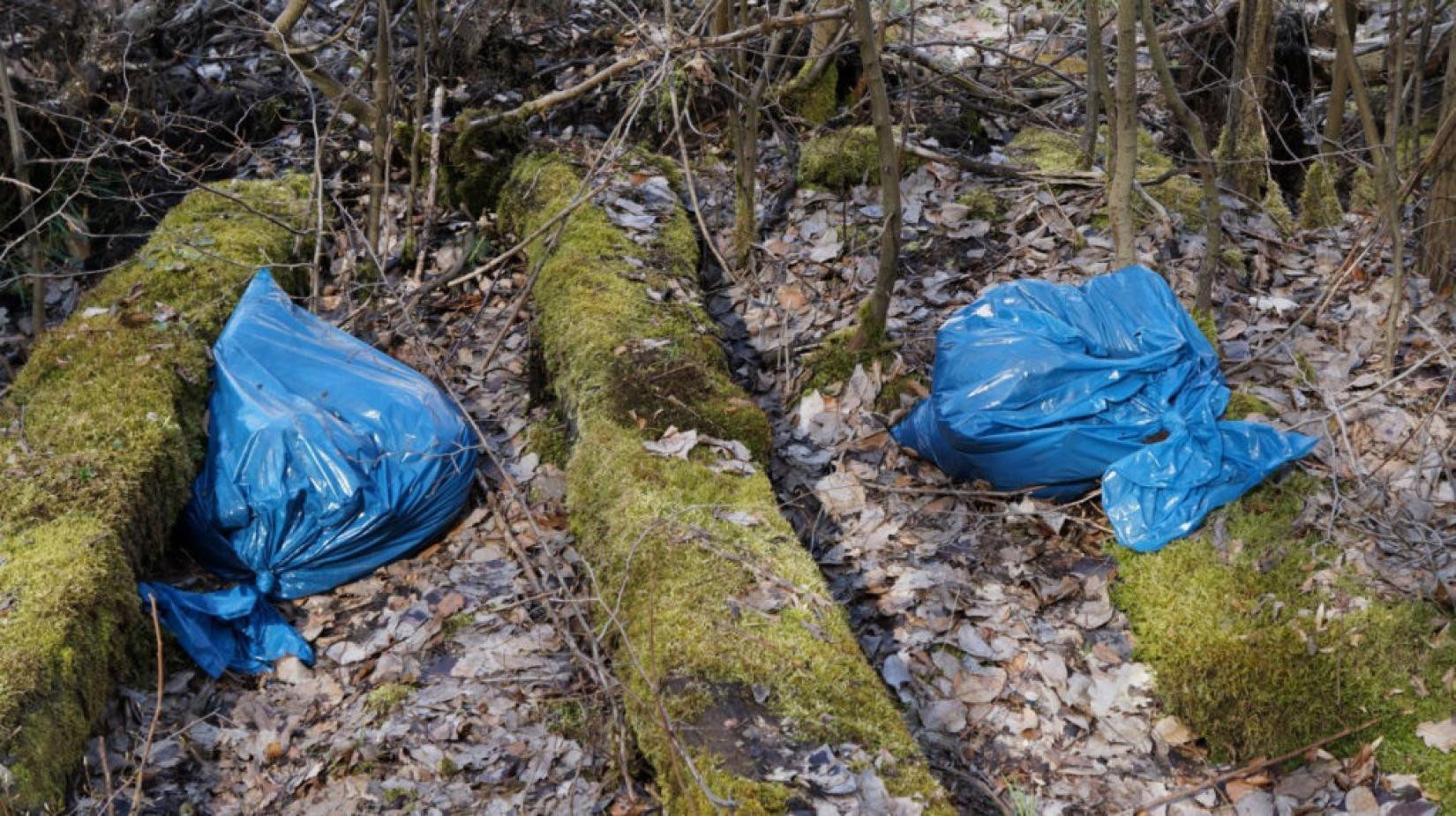 O plástico demora pelo menos 450 anos para se decompor no meio ambiente. Foto: PxHere