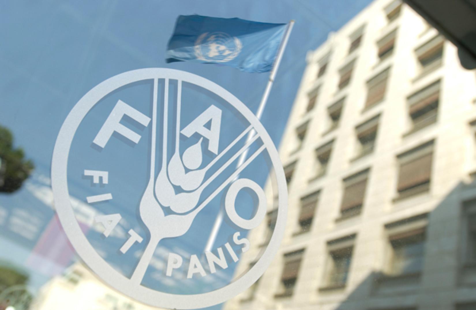 Sede da FAO, em Roma. Foto: FAO