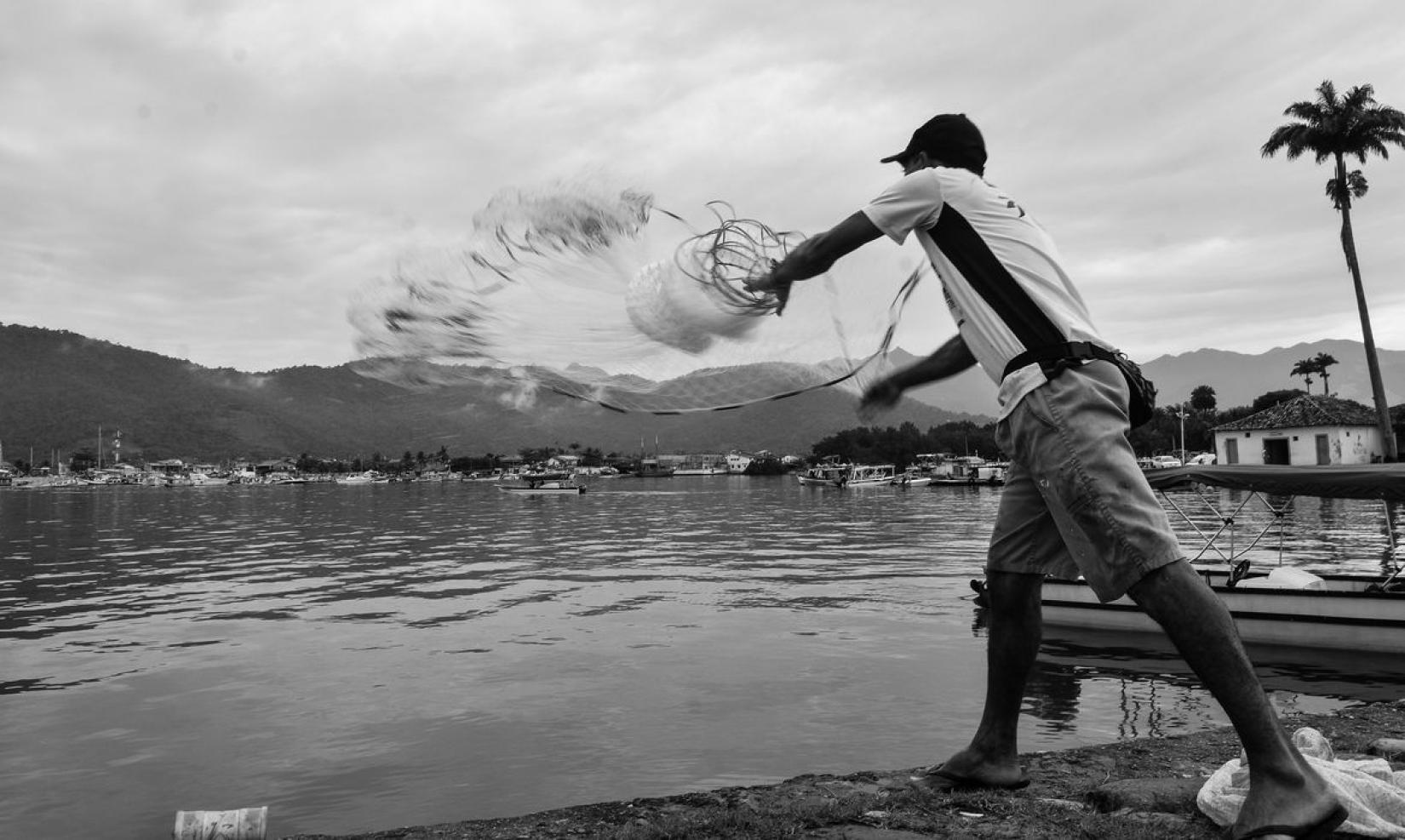 O relatório da FAO indicou que na aquicultura há evidências crescentes de que a produção não vendida resultará em níveis crescentes de estoques de peixes vivos, criando custos mais altos para alimentação, bem como maior número de mortalidade de peixes. 