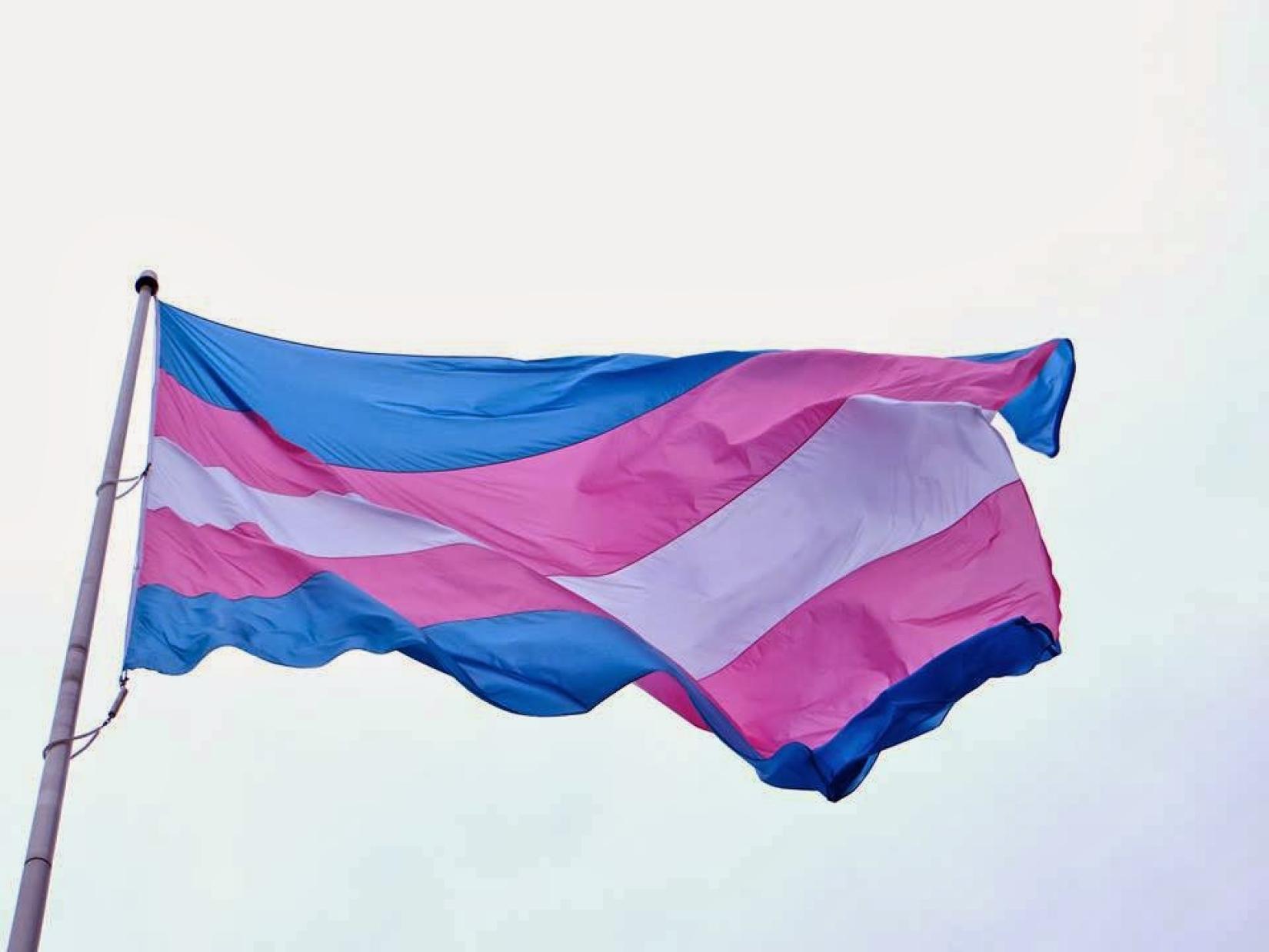 Bandeira do orgulho trans.