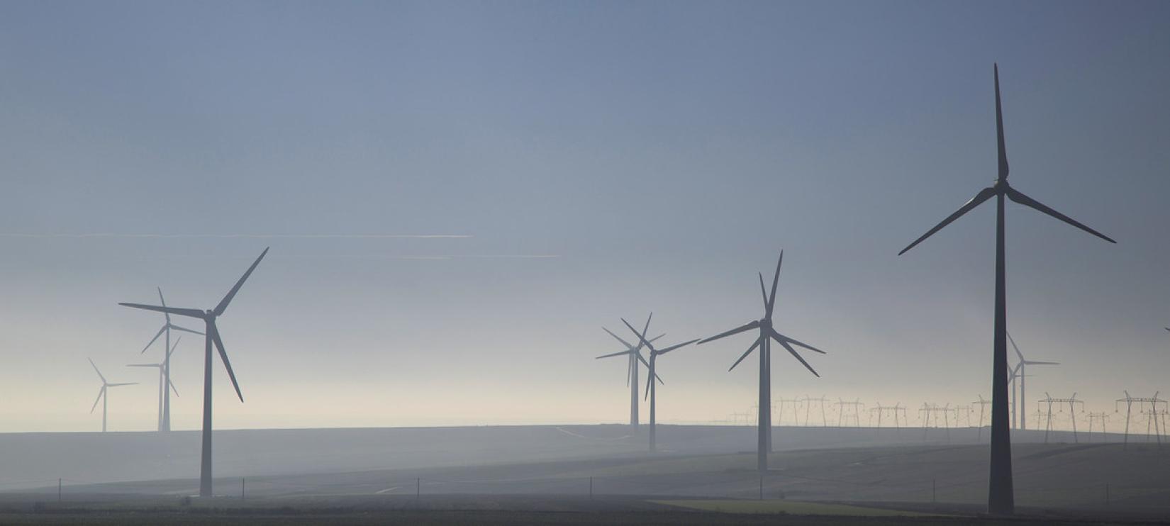 Usar o vento para produzir energia tem menos efeitos no meio ambiente que outras fontes de energia.