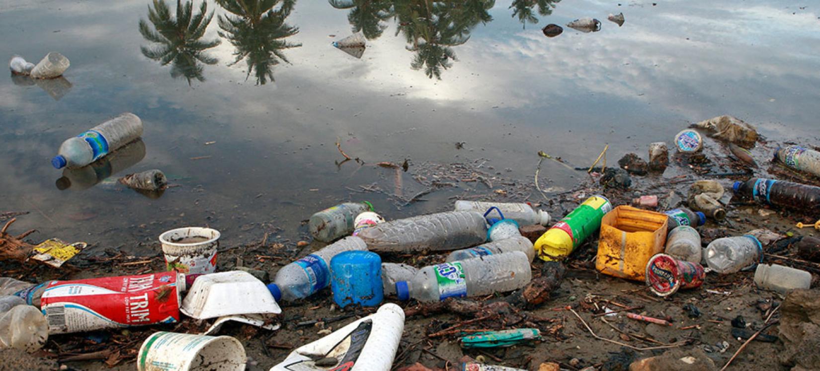 De acordo com a ONU, se a tendência atual continuar, até 2050, a quantidade de plástico nos oceanos pode ser maior do que a de peixes.