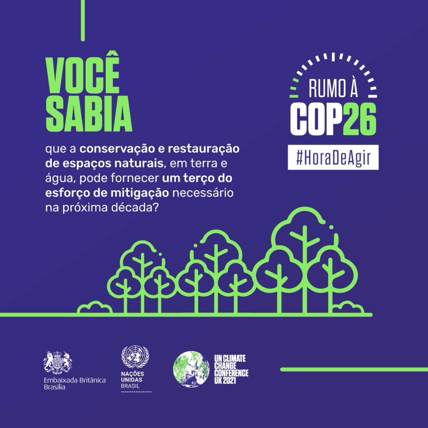 Rumo à COP26: Contagem Regressiva Para A Conferência De Clima | As ...