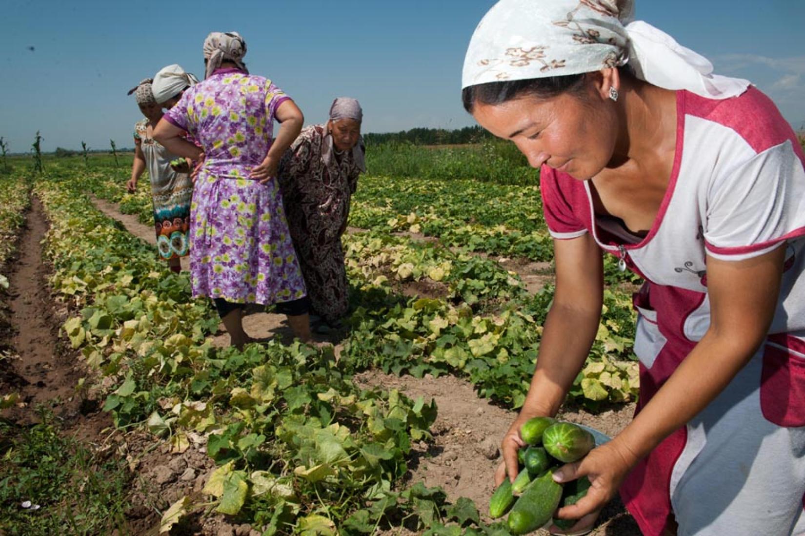 Brasileiras recebem prêmio da ONU nesta terça-feira (8)