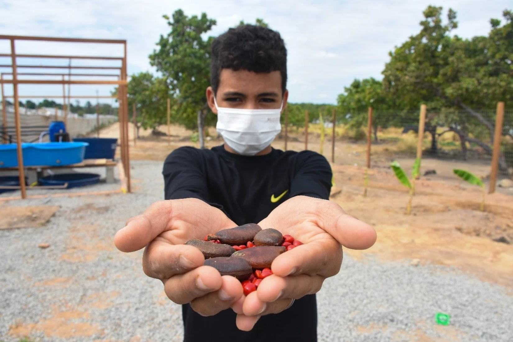Jovens aprendem a cuidar de sementes que serão plantadas nos abrigos da Operação Acolhida. 