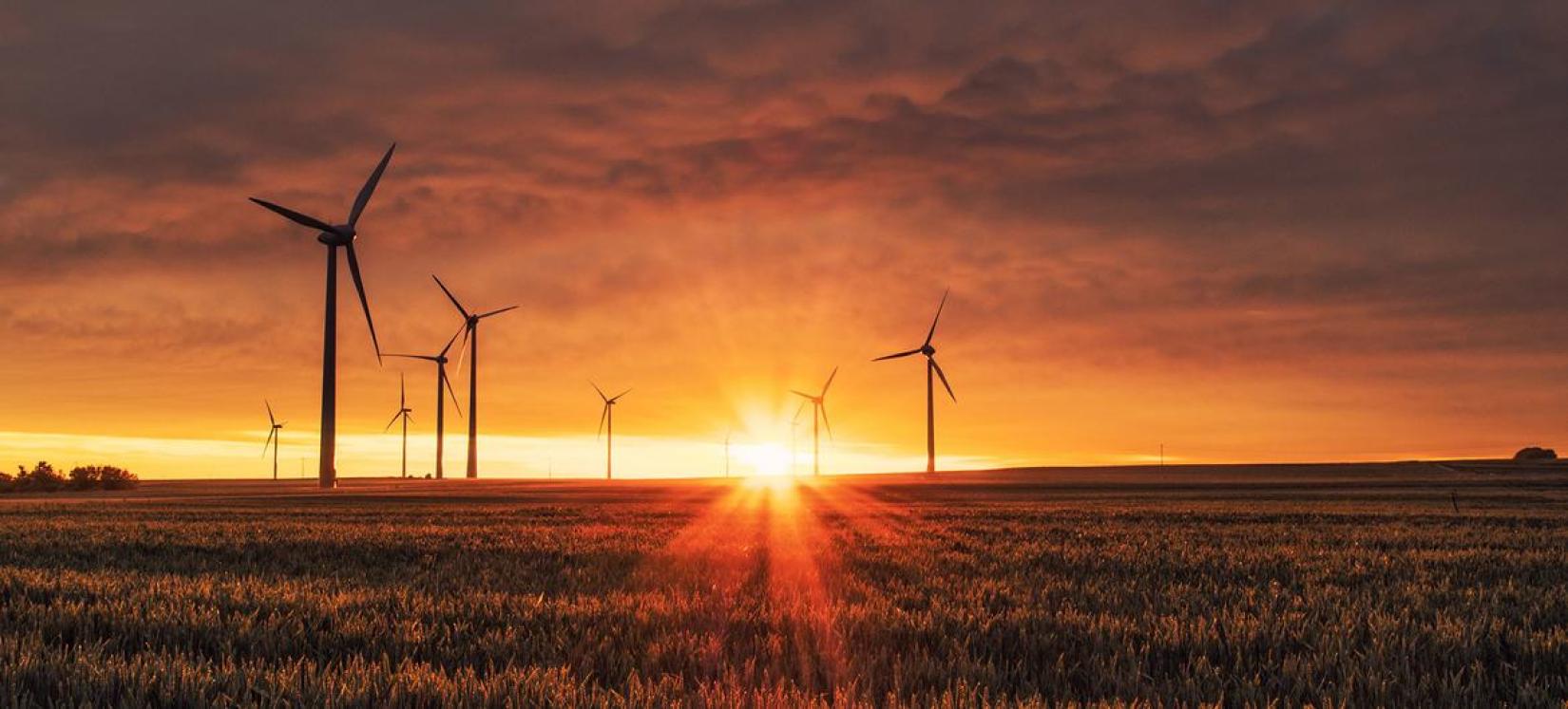 Campo de produção de energia eólica na Alemanha.