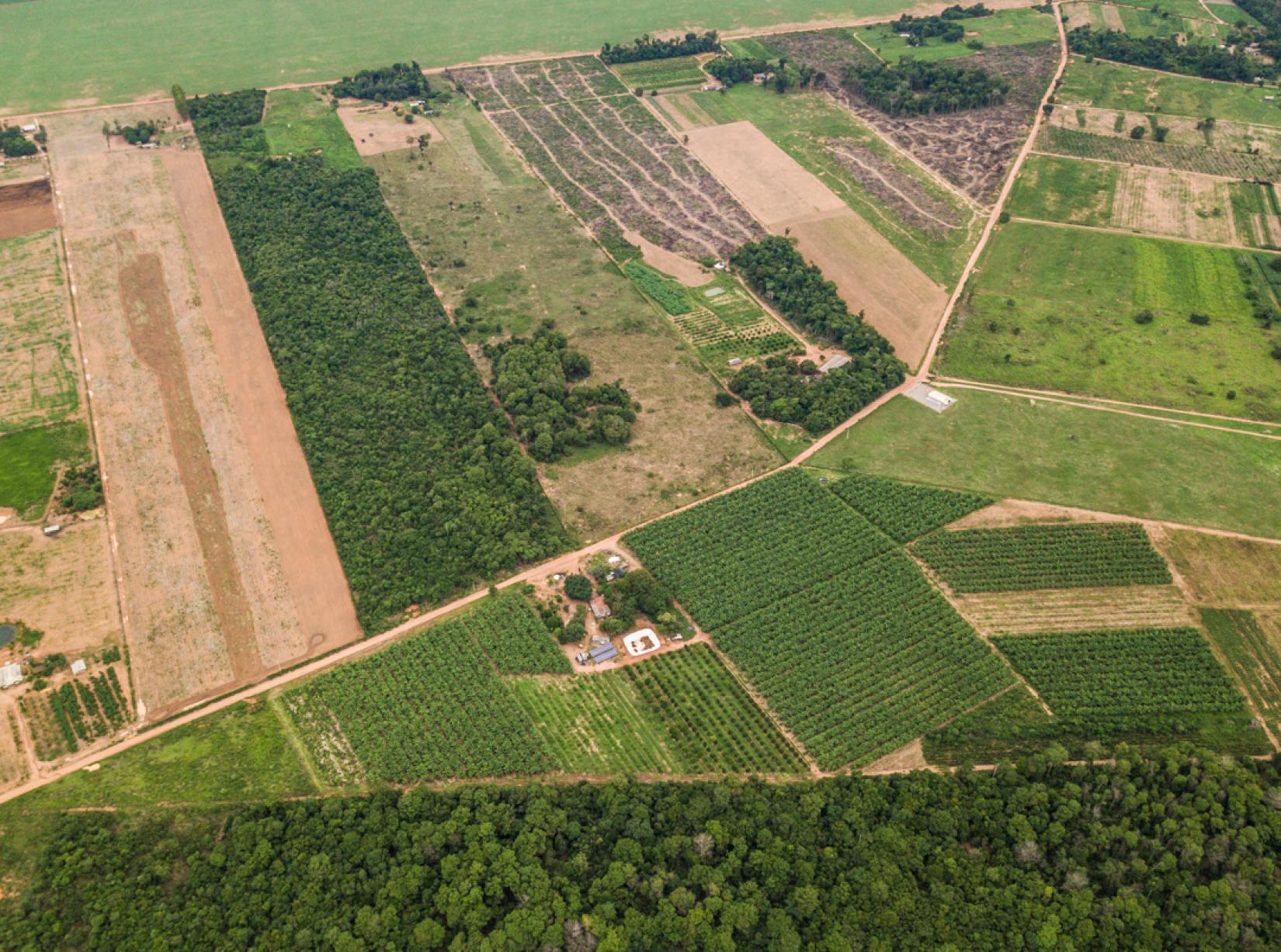 Ferramenta da FAO detalha informações sobre propriedades agrícolas em diferentes países, baseada em dados sobre o censo agropecuário.