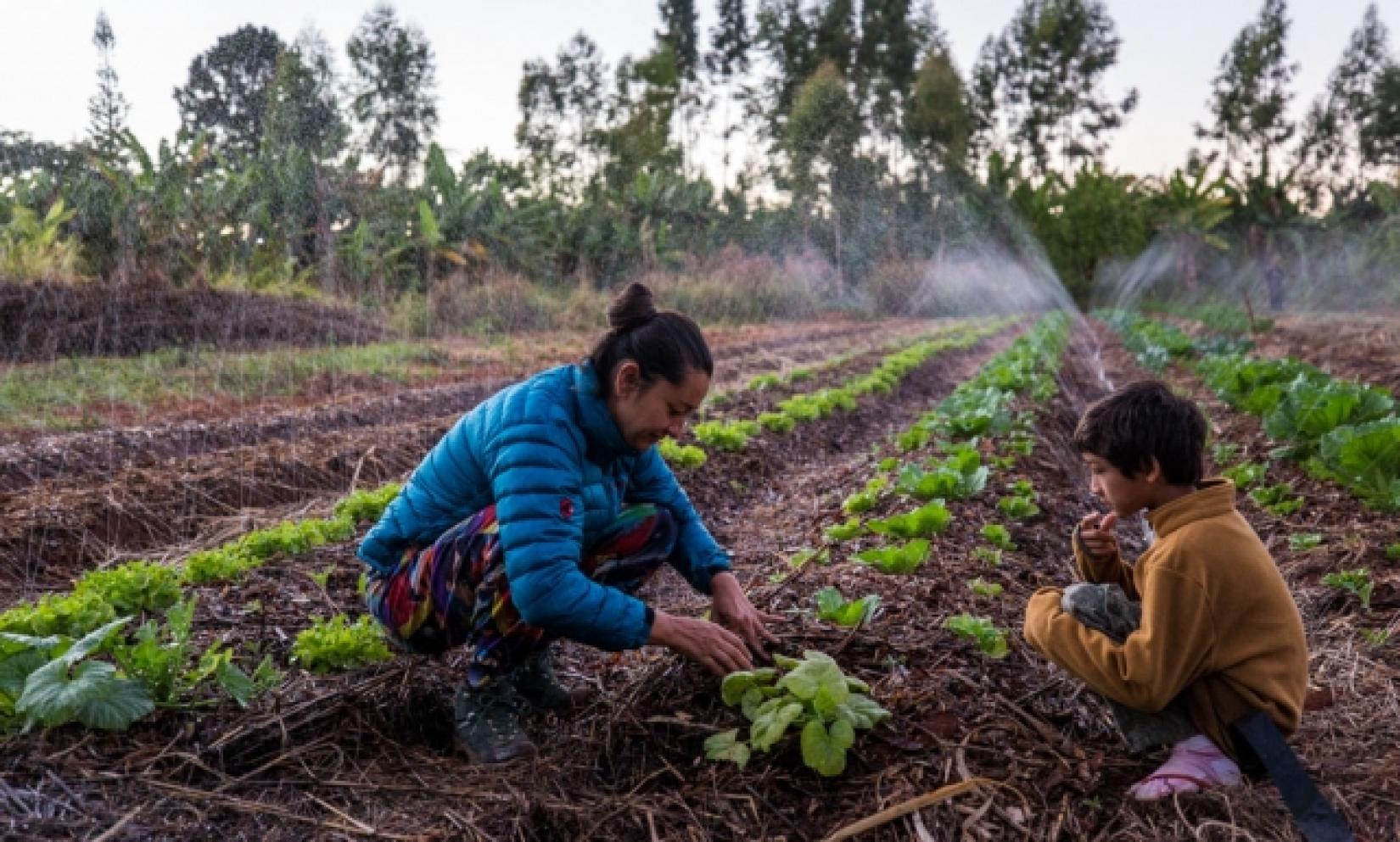 A FAO está comprometida em alcançar “igualdade entre mulheres e homens na agricultura sustentável e no desenvolvimento rural para a eliminação da fome e da pobreza”, conforme estabelecido em sua Política de Igualdade de Gênero. 
