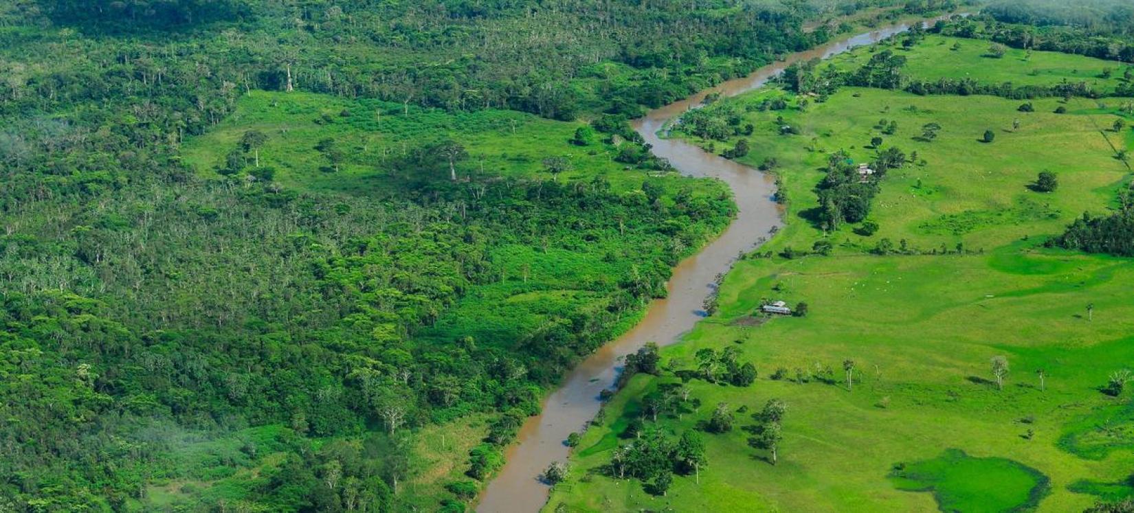 Novo sumário para políticas públicas discute o Acordo Comercial União Europeia-Mercosul e a perda de habitat no Brasil.