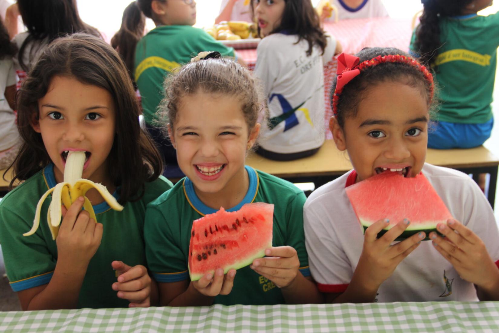 A metodologia da visita inclui uma série de vídeos e materiais escritos que simulam uma imersão no Programa Nacional de Alimentação Escolar (PNAE) brasileiro. 