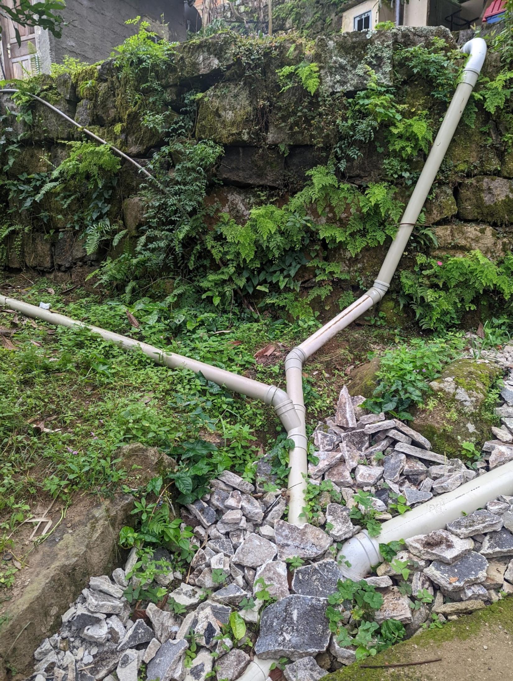 Em vez de correr para os córregos, o sistema leva a água até uma área de terra, onde árvores e o restante na flora local consomem o líquido já tratado.