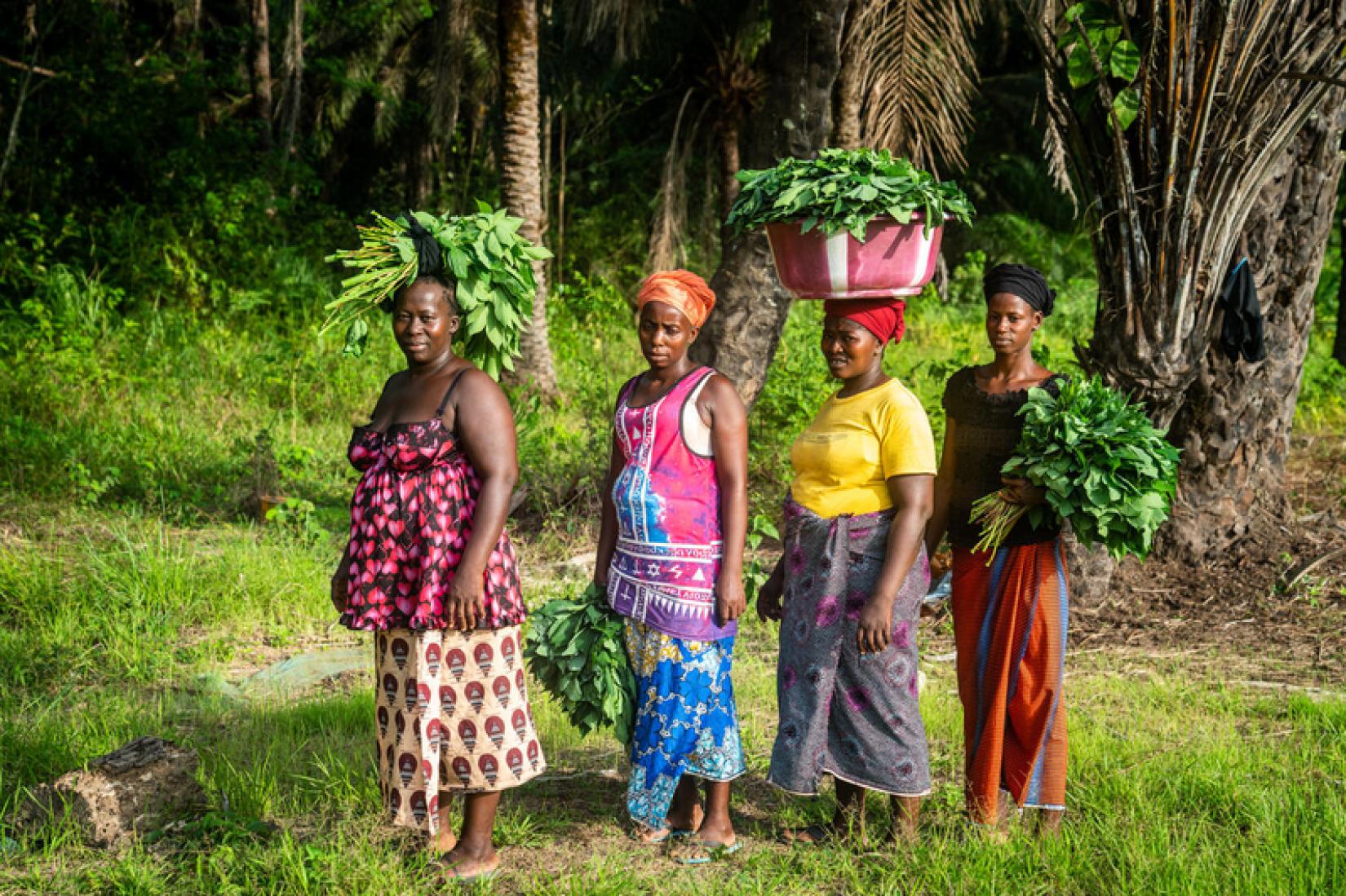 Com o apoio do WFP, os estudantes de pós-graduação terão a oportunidade de desenvolver trabalhos que possam apoiar a concretização especialmente do Objetivo de Desenvolvimento Sustentável 2, que visa a erradicação da fome e a promoção da agricultura sustentável.