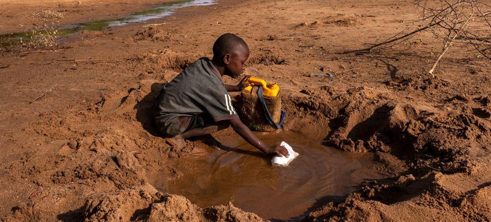 O UNICEF estima que metade da população com menos de cinco anos na Somália provavelmente enfrentará desnutrição aguda nos próximos meses. País é um dos que enfrenta as consequências da múltipla crise planetária. 