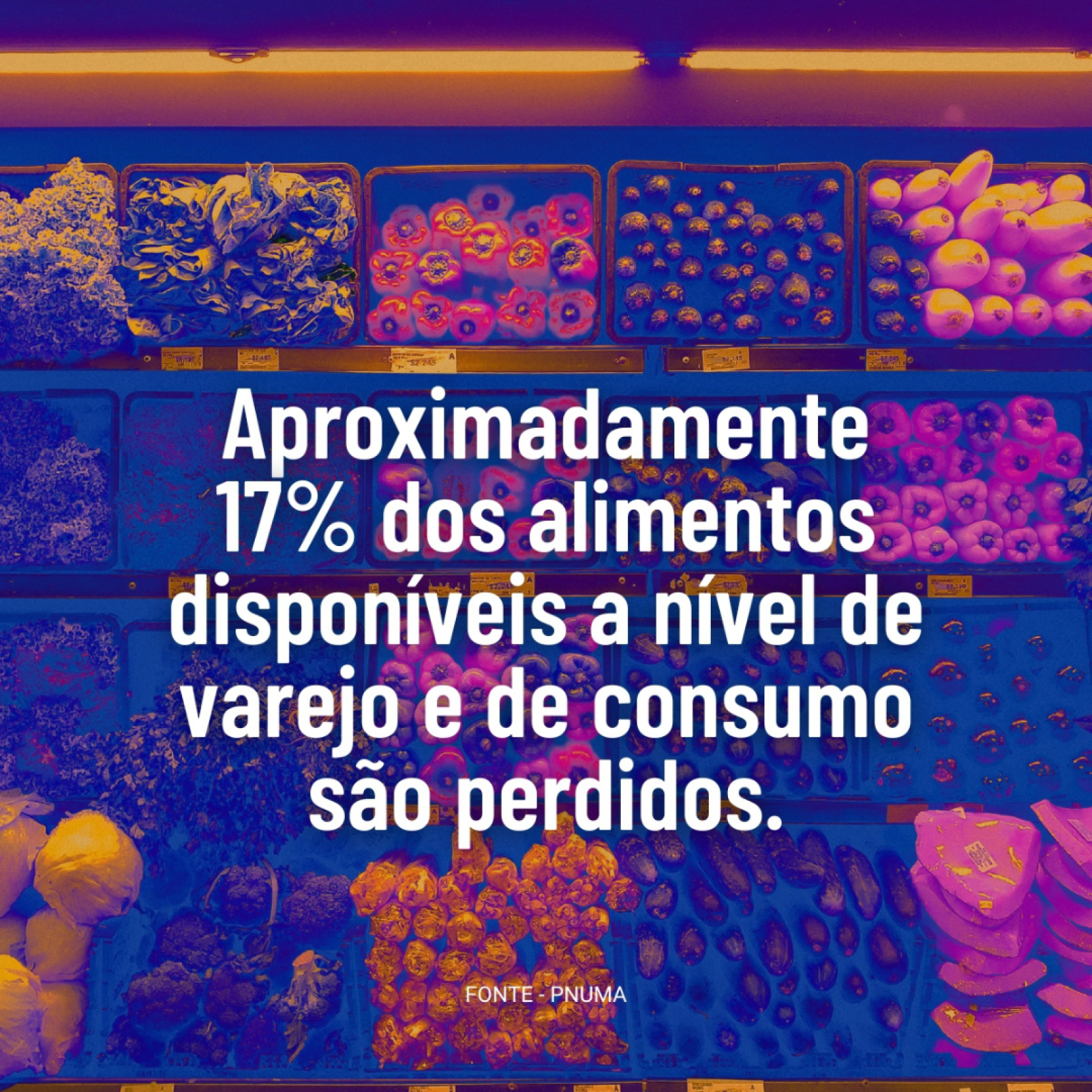 Programa da ONU para o Meio Ambiente no LinkedIn: Primeiro Dia Resíduo Zero  reforça ações de enfrentamento à crise global de…