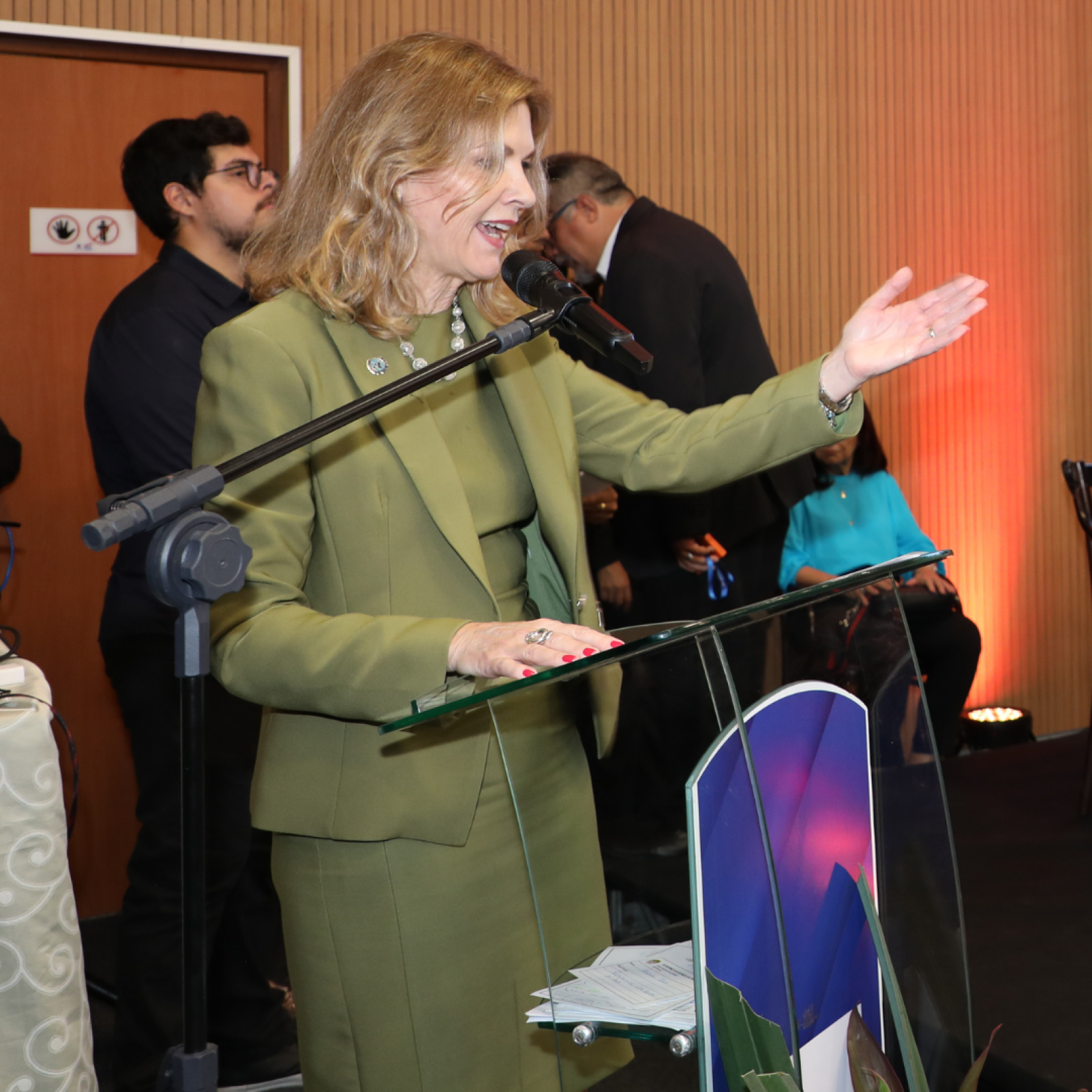 Silvia Rucks, coordenadora residente da ONU no Brasil, discursa durante o evento de lançamento do Fundo Brasil-ONU em Santarém. 