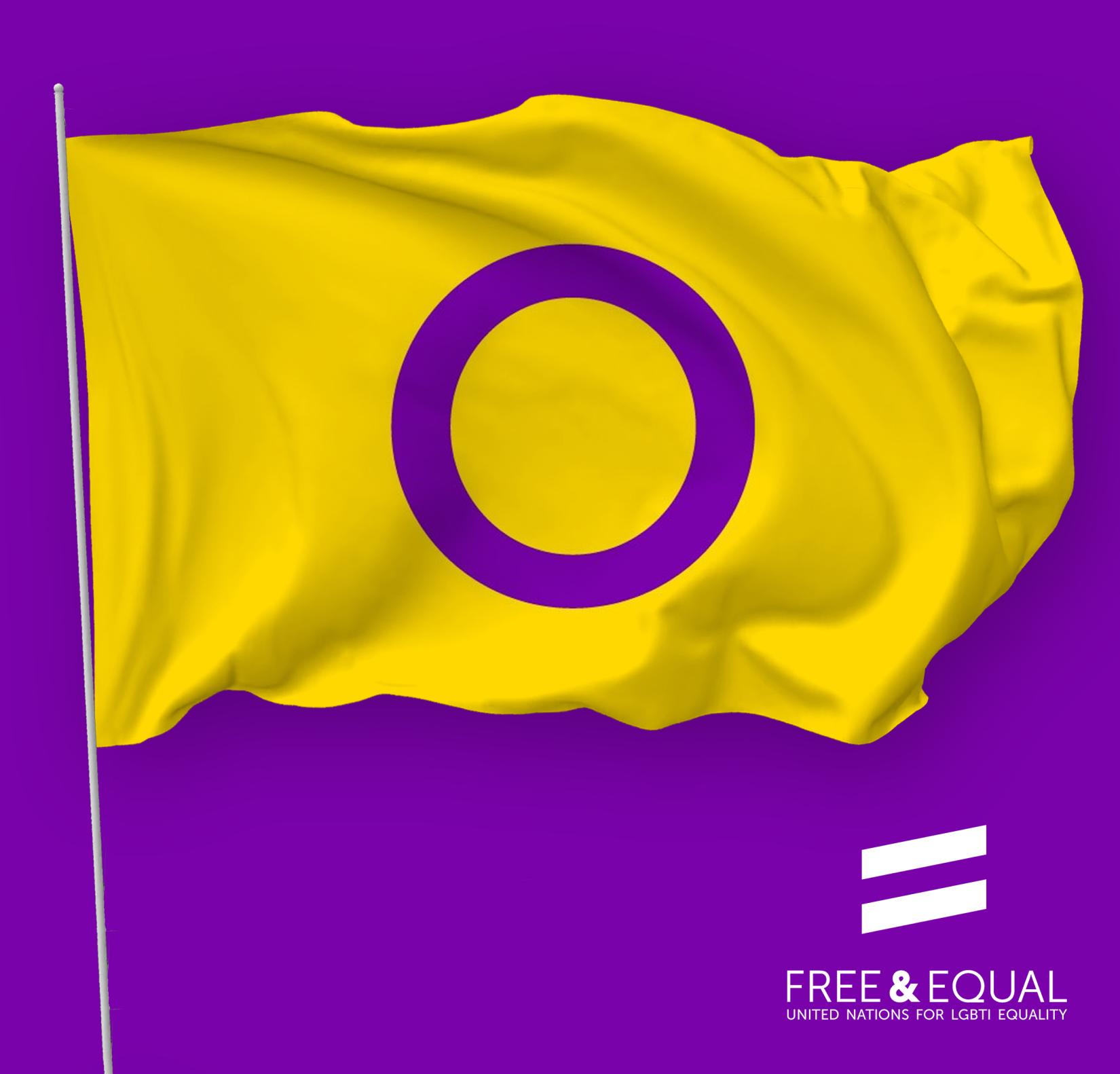 Bandeira do movimento das pessoas intersexo