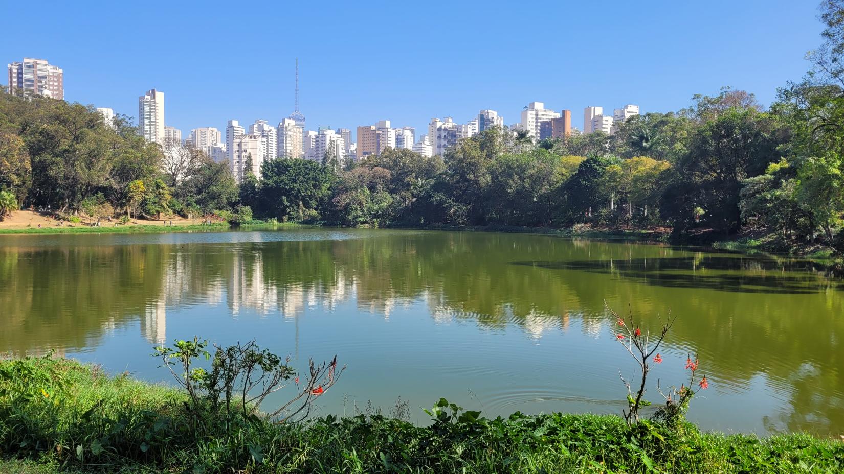 Parque da Aclimação, em São Paulo, é apenas um exemplo de equipamentos urbanos da avaliação. Serão visitados e observados parques de todas as regiões da capital.