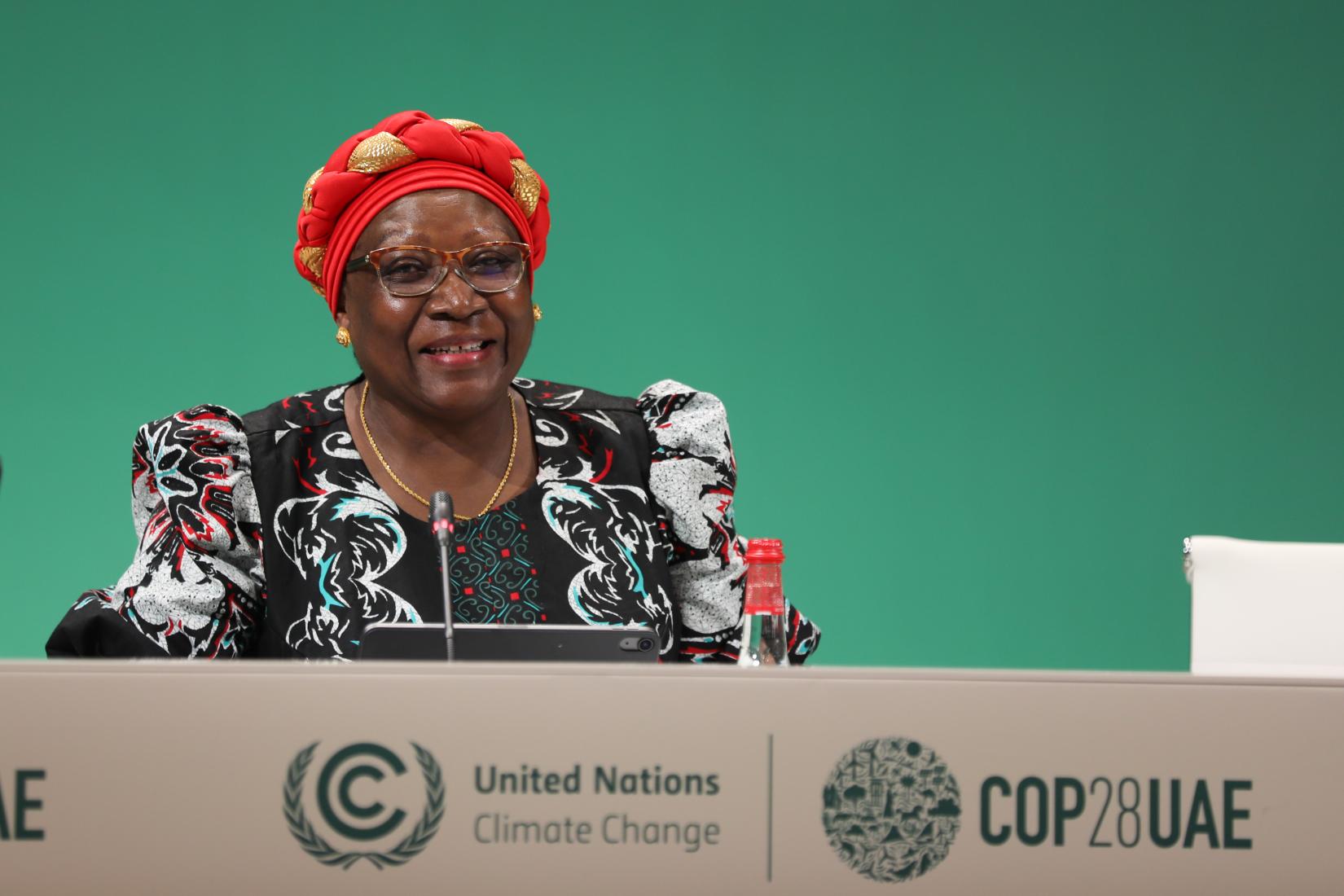 Cecilia Kinuthia-Njenga, Diretora de Apoio Intergovernamental e Progresso Coletivo, UNFCCC