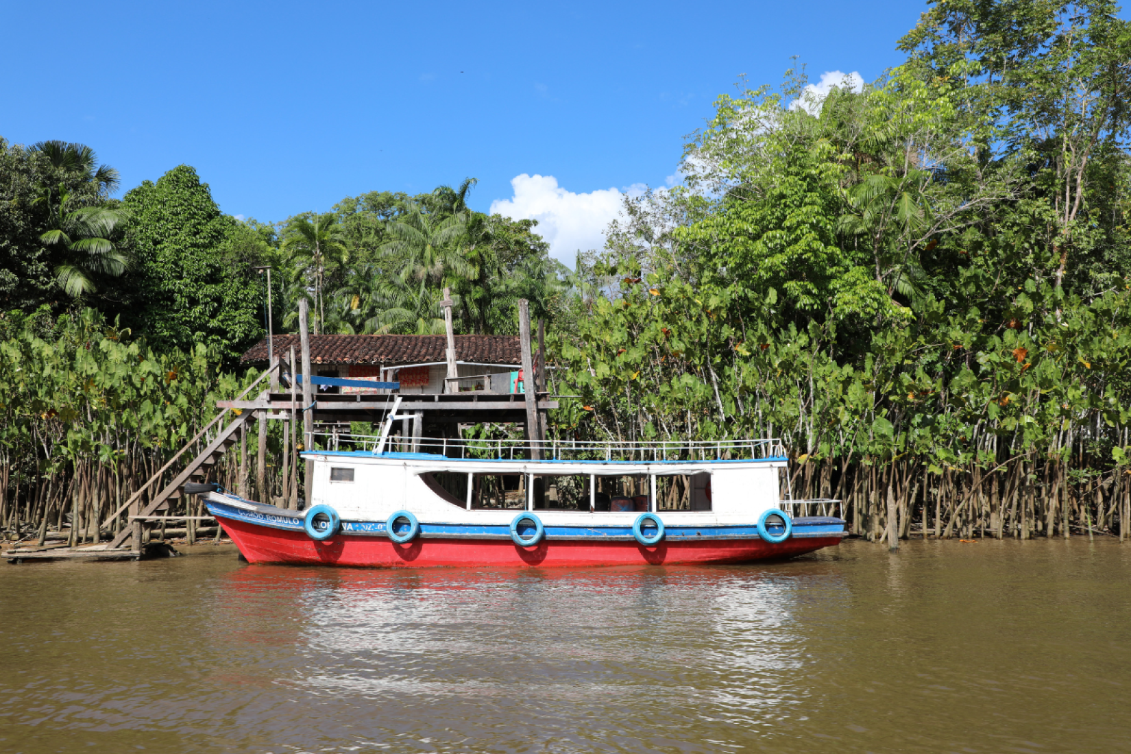 Fundo Brasil-ONU para o Desenvolvimento Sustentável da Amazônia