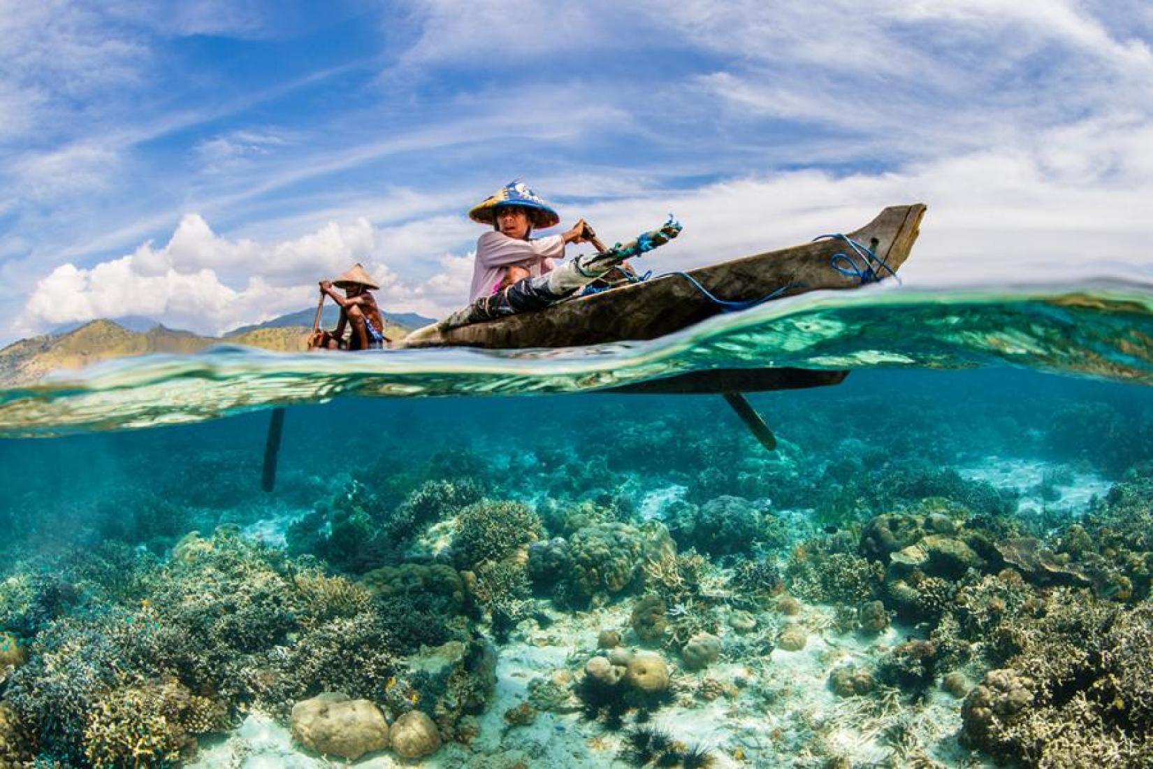 Concurso de Fotos da ONU para o Dia Mundial dos Oceanos. 