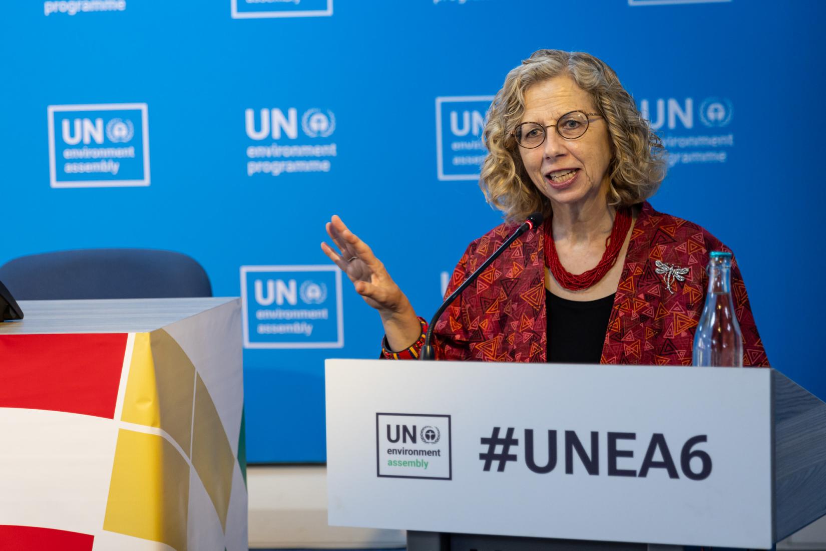 A diretora-executiva do PNUMA, Inger Andersen, participa de evento paralelo sobre proteção e restauração de manguezais durante a UNEA-6, em 27 de fevereiro de 2024. 