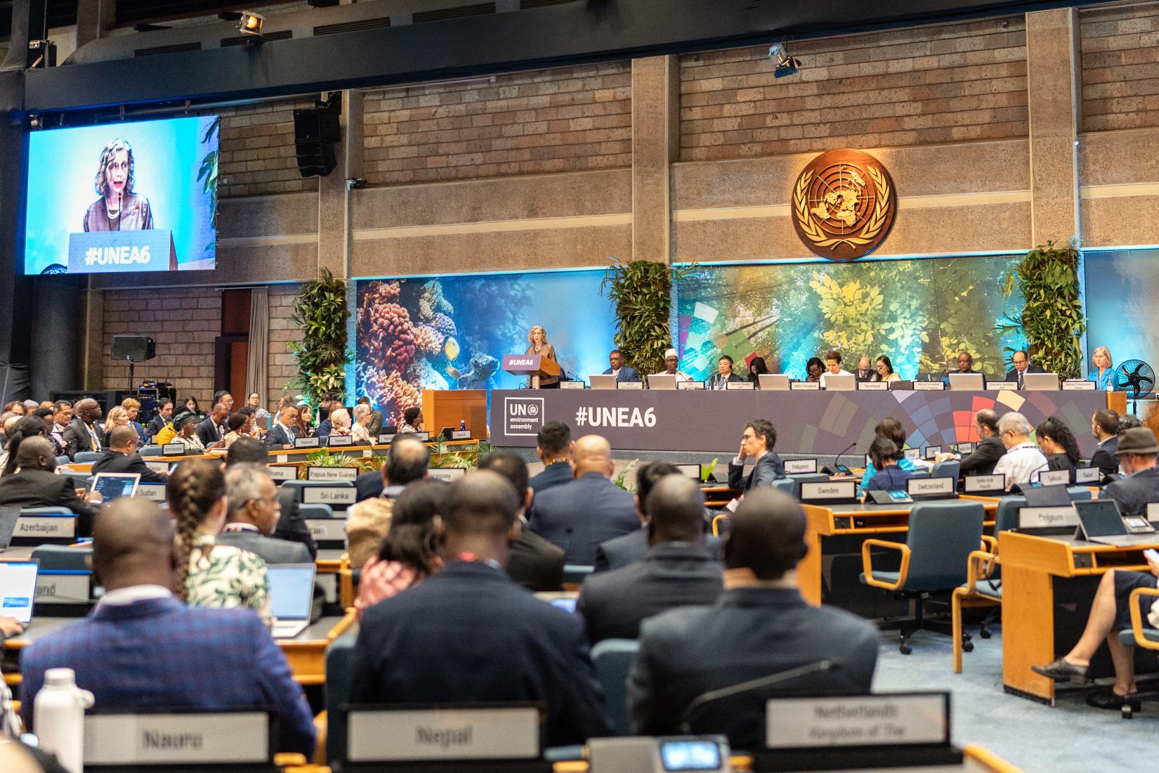 Inger Andersen, diretora-executiva do PNUMA, discursa durante a plenária sobre Acordos Ambientais Multilaterais,  durante a sexta sessão da Assembleia Ambiental da ONU (UNEA-6), em 28 de fevereiro de 2024, em Nairóbi, no Quênia. 