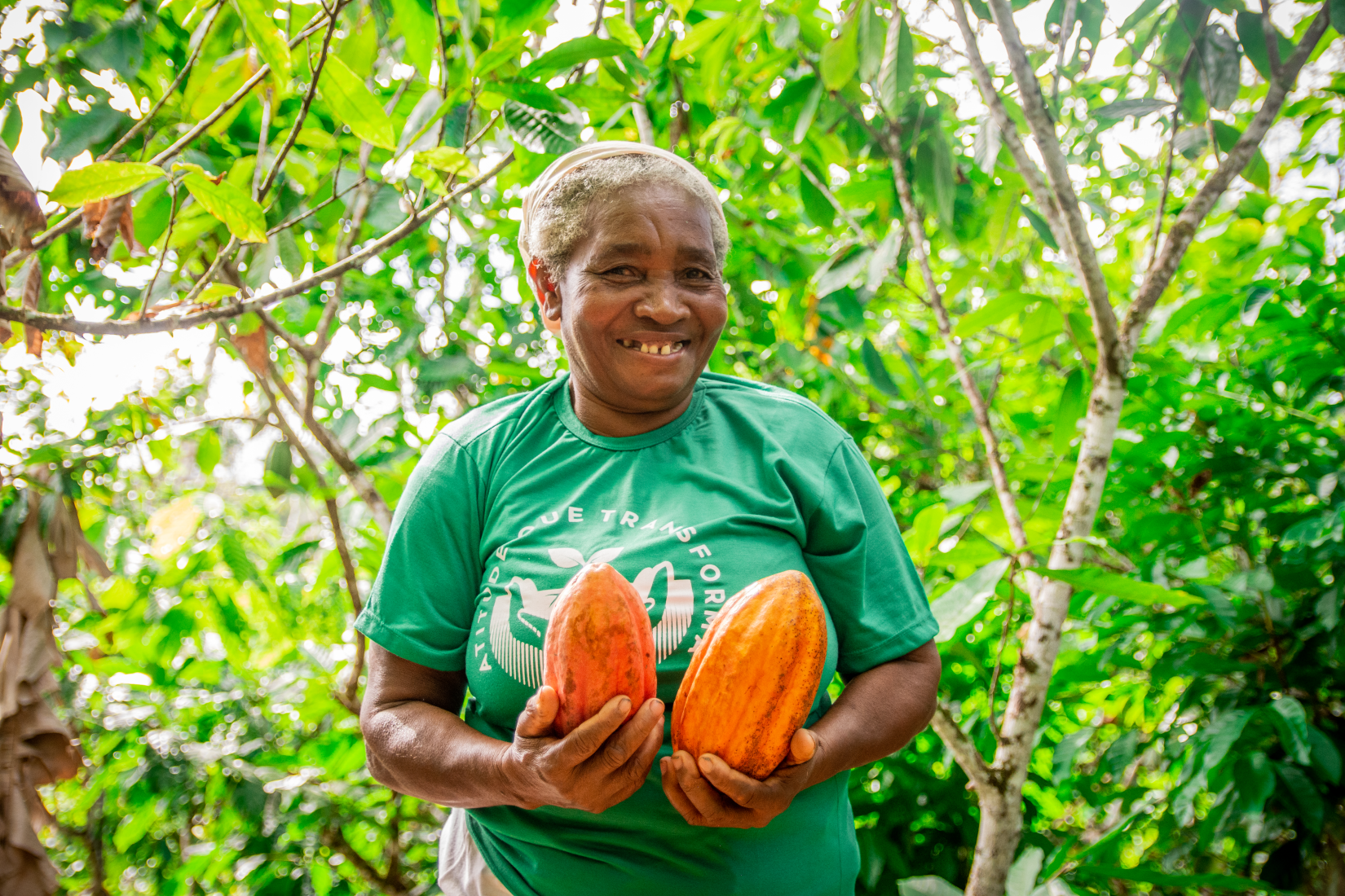 O principal objetivo da CompensAÇÃO é estabelecer condições favoráveis para promover uma transição agroflorestal nas áreas produtoras de cacau. Esse processo visa aumentar a resiliência climática e os benefícios econômicos e, ao mesmo tempo, mitigar a degradação florestal e o desmatamento na Região Cacaueira do Sul da Bahia. 