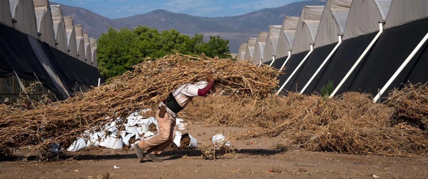 A melhoria das medidas de segurança e saúde para prevenir lesões causadas pelo calor excessivo no local de trabalho poderia poupar até 361 bilhões de dólares a nível mundial, aponta relatório da OIT. 