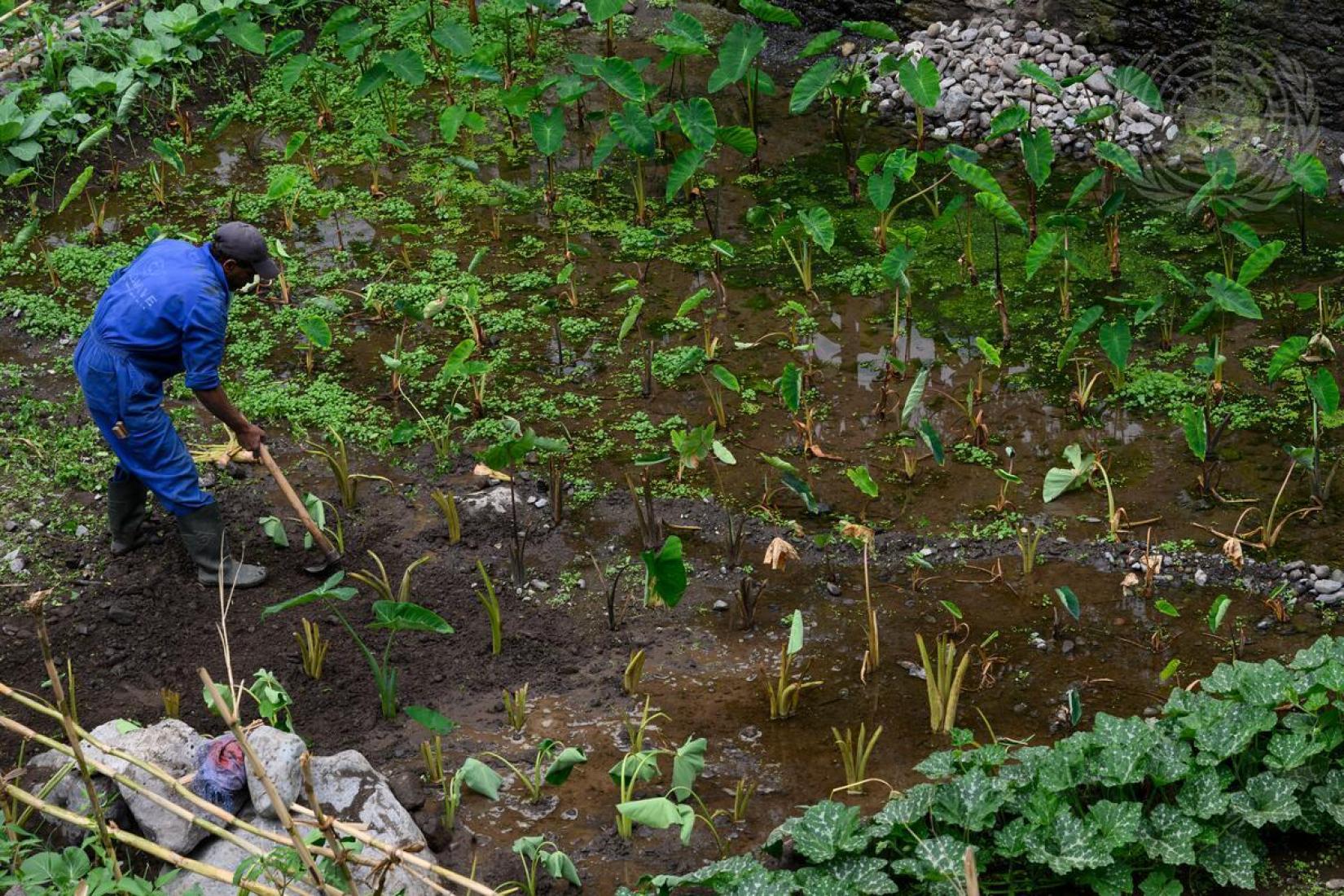 178 milhões de hectares de áreas protegidas foram criadas ou tiveram sua gestão melhorada em 56 países