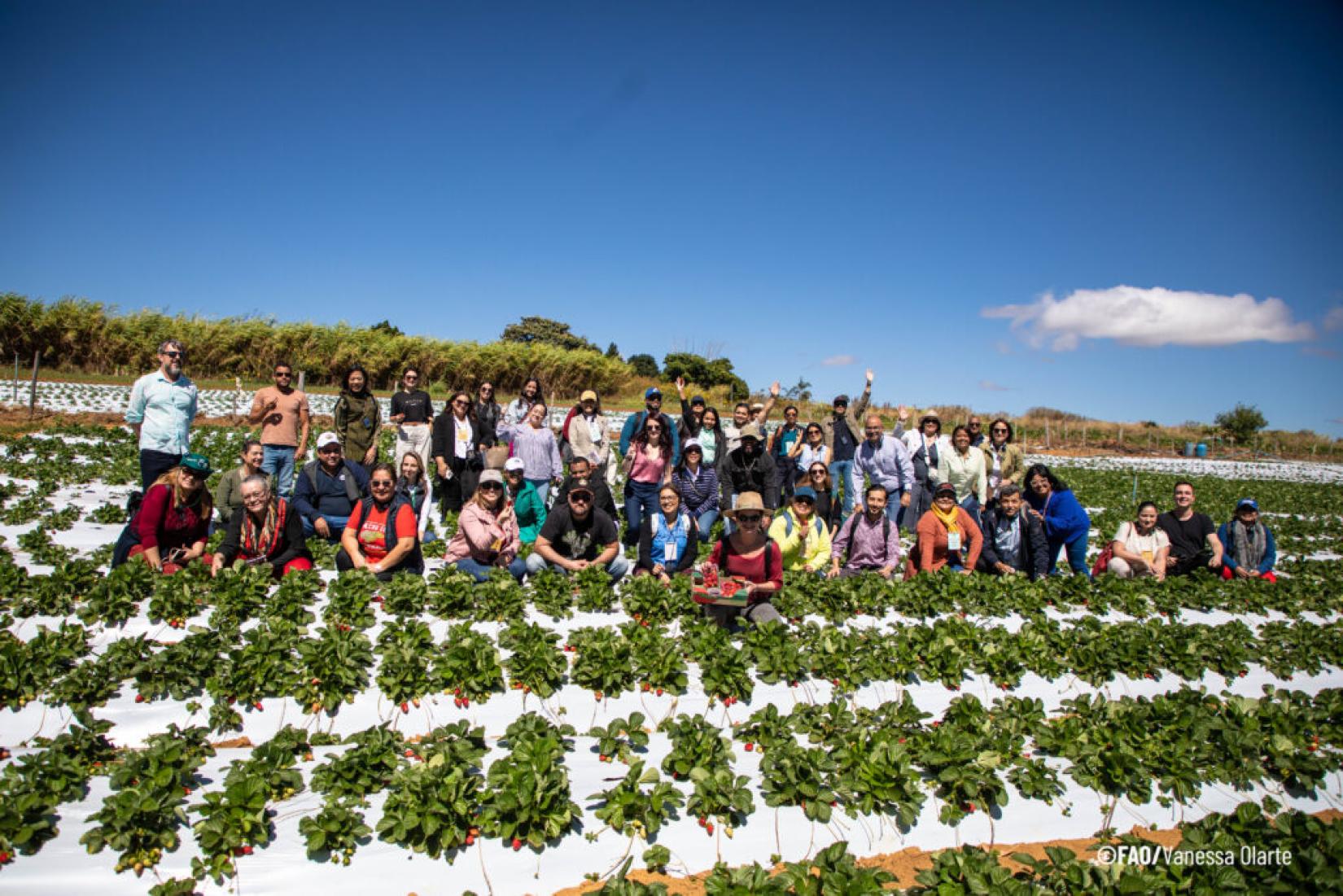 missão foi organizada pelo projeto de alimentação escolar executado no âmbito do Programa de Cooperação Internacional Brasil-FAO. 