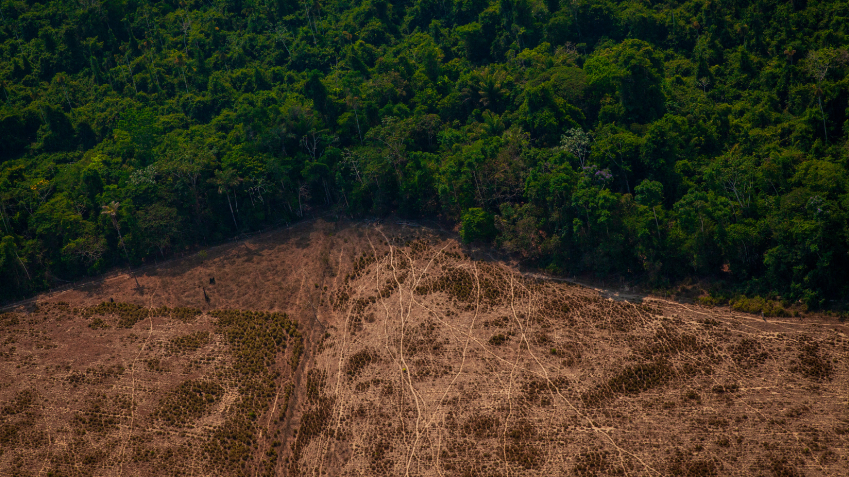 as emissões de gases de efeito estufa atingiram um recorde de 57,1 gigatoneladas de CO₂ equivalente em 2023.