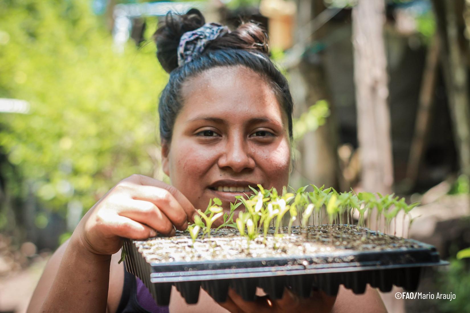 Roxana, do norte de Morazán, em El Salvador, é apaixonada por sua terra e se dedica a melhorar a vida rural por meio da agricultura sustentável, da diversidade de culturas e da troca de sementes, fortalecendo as comunidades de sua região. Seu trabalho demonstra como o amor pela terra pode impulsionar o desenvolvimento rural. Crédito: ©FAO/Mario Araujo. 