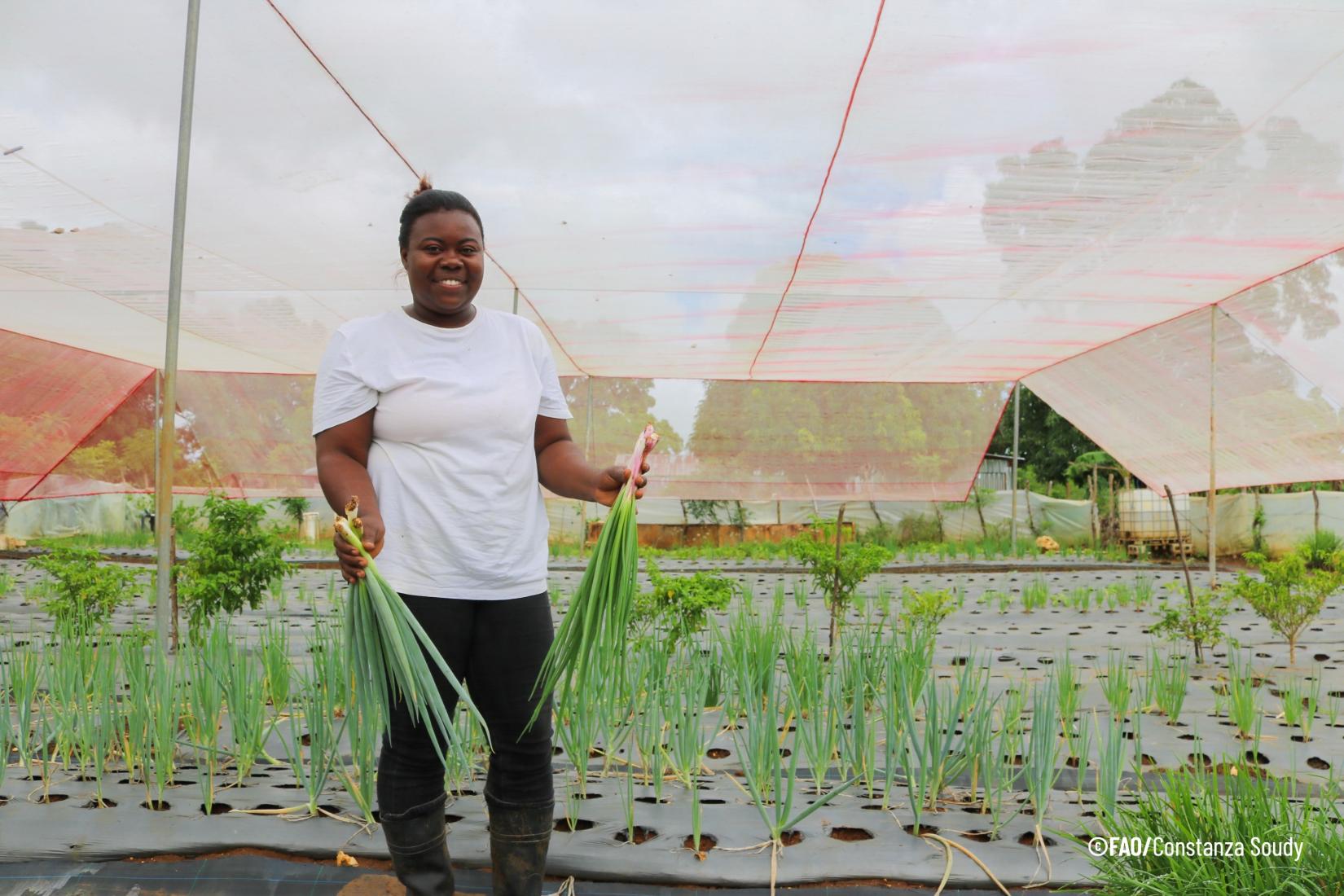 O Panorama Regional de Segurança Alimentar e Nutrição 2024, lançado em 27 de janeiro de 2025, informa que a América Latina e o Caribe registraram uma redução na prevalência de fome e insegurança alimentar, sendo a única região no mundo com essa tendência. Foto: Elizabeth Jean, da Cooperativa Agropecuária Gina Jaragua, em Higüey, Província de Altagracia, República Dominicana. 