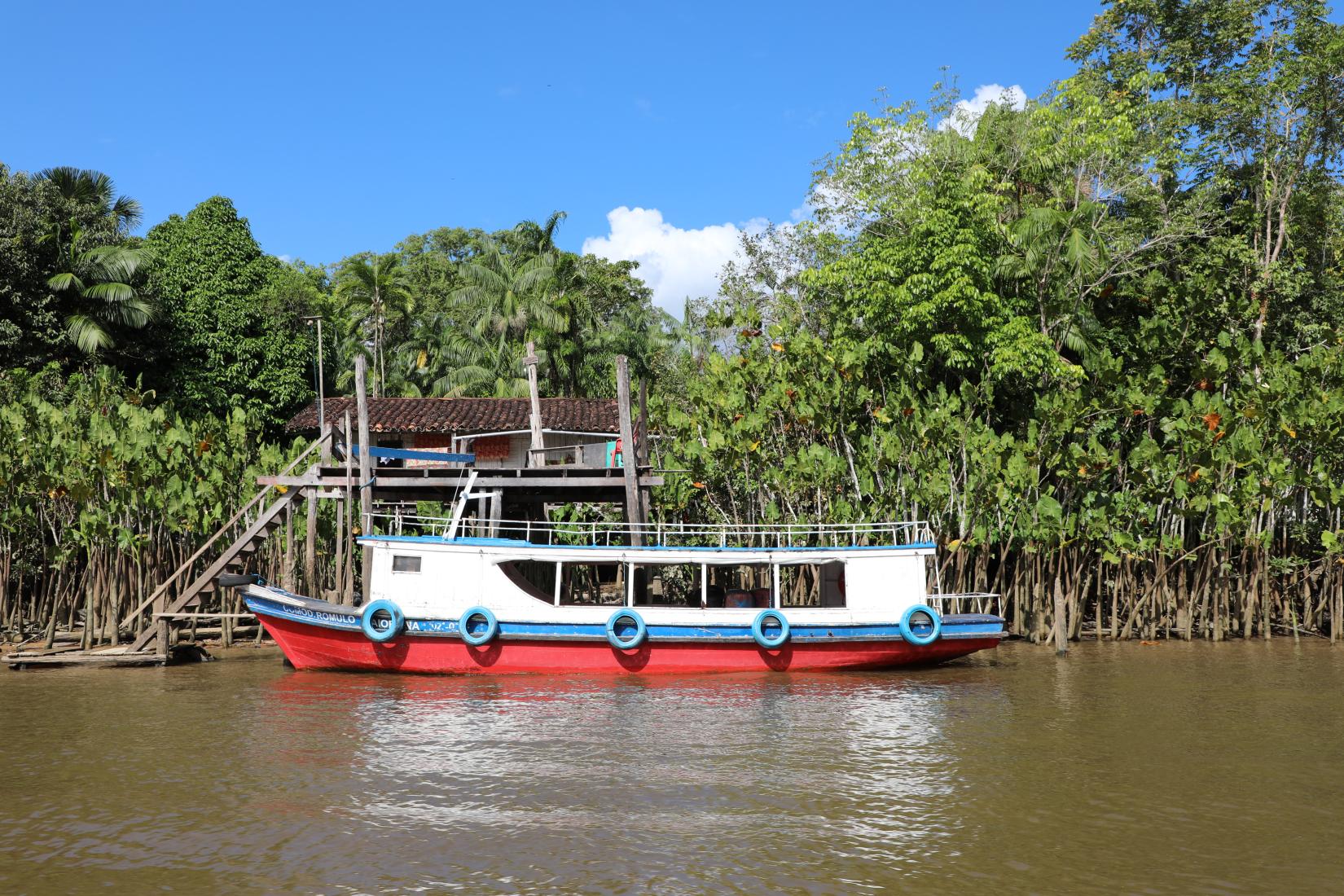 O Fundo Brasil-ONU para o Desenvolvimento Sustentável da Amazônia financia iniciativas que promovam alternativas econômicas sustentáveis e proteção social para as populações em situação de maior vulnerabilidade da região amazônica. Crédito: ONU Brasil/Isadora Ferreira