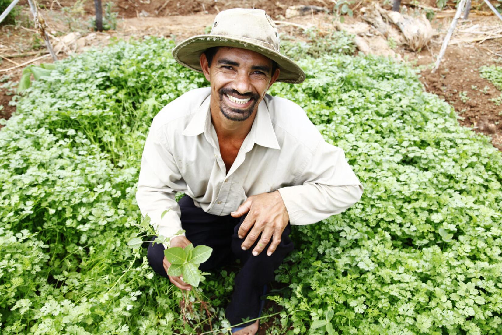 iniciativa abordará os principais desafios ambientais na região da Mata Atlântica da Bahia, um dos ecossistemas de maior biodiversidade do mundo. Serão abordadas questões como a degradação ambiental, a baixa produtividade agrícola, o acesso precário a serviços de assistência técnica, o saneamento inadequado e a vulnerabilidade dos sistemas de produção dos agricultores familiares às mudanças climáticas.