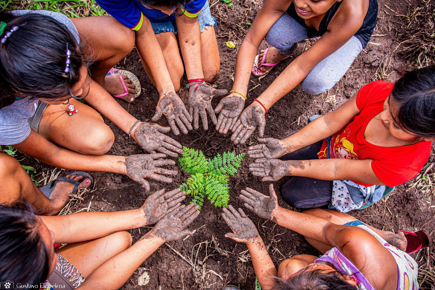 Mãos ancestrais plantando o futuro: Crianças indígenas da etnia Terena, plantam uma muda nativa do Pantanal em uma área em restauração dentro de seu território, a Terra Indígena Cachoeirinha, em Miranda - MS, em agosto de 2024. Créditos: Gustavo Figueiroa. 