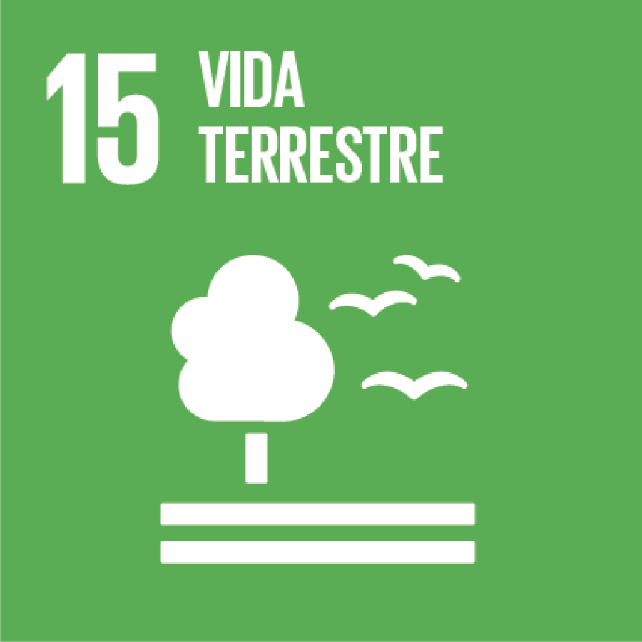 Objetivo de Desenvolvimento Sustentável No. 15: Vida Terrestre