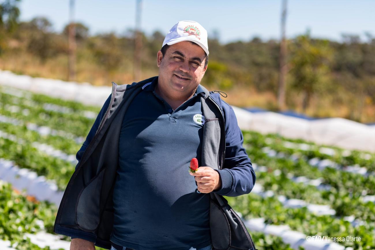 Alimentação escolar é uma política estruturante que tem transformado a vida de famílias de produtores de pequena escala no Distrito Federal