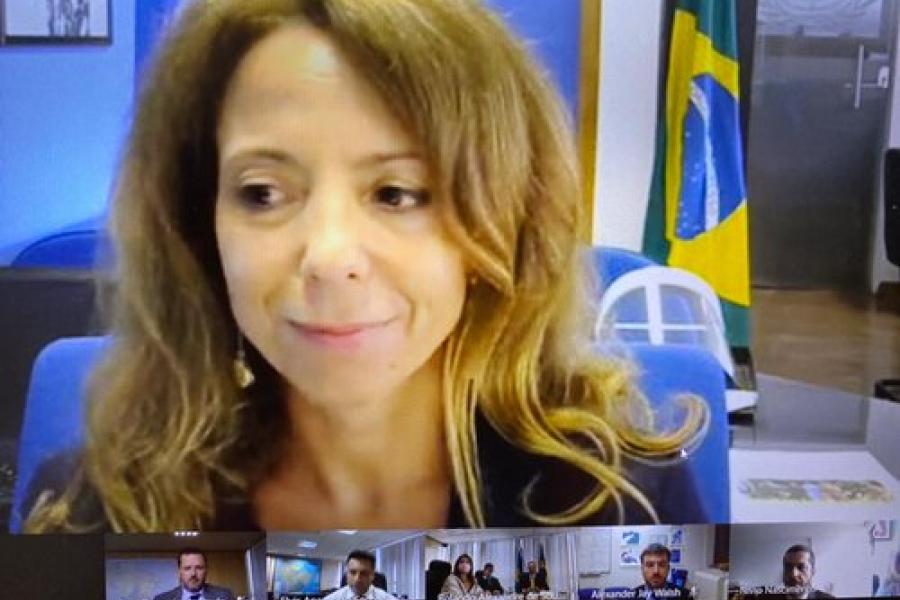 Diretora do Escritório de Ligação e Parceria do UNODC no Brasil, Elena Abbati, participa de videoconferência com Polícia Federal
