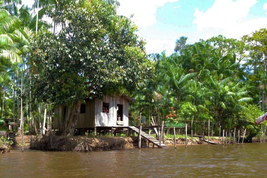 Amazônia enfrenta desafios da agricultura familiar e da socioeconomia impactada pela pandemia do coronavírus