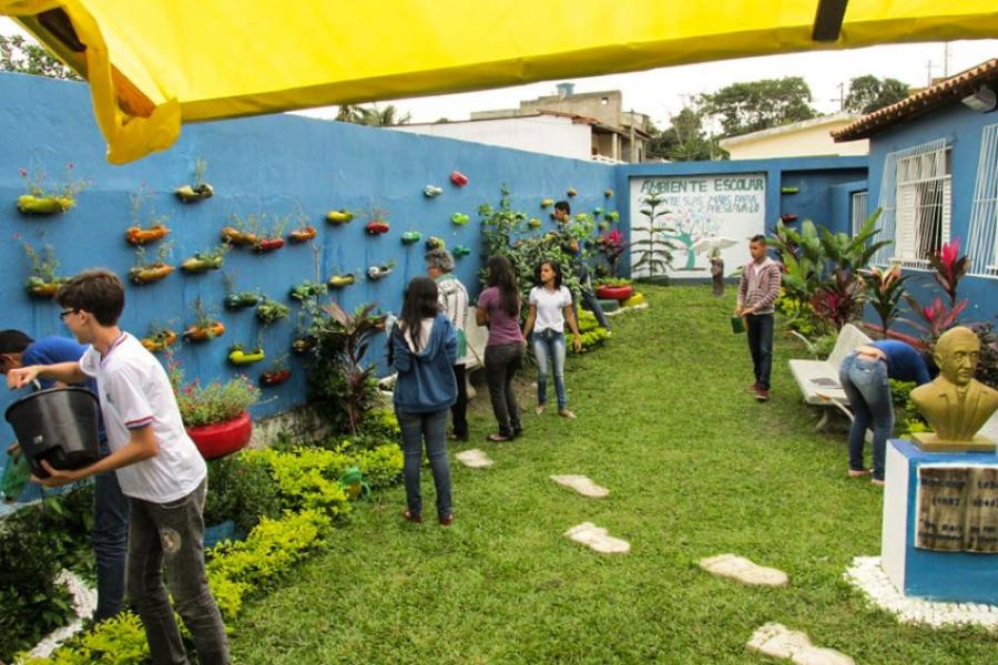 Horta comunitária em escola na Bahia é usada como fonte para alimentação dos alunos